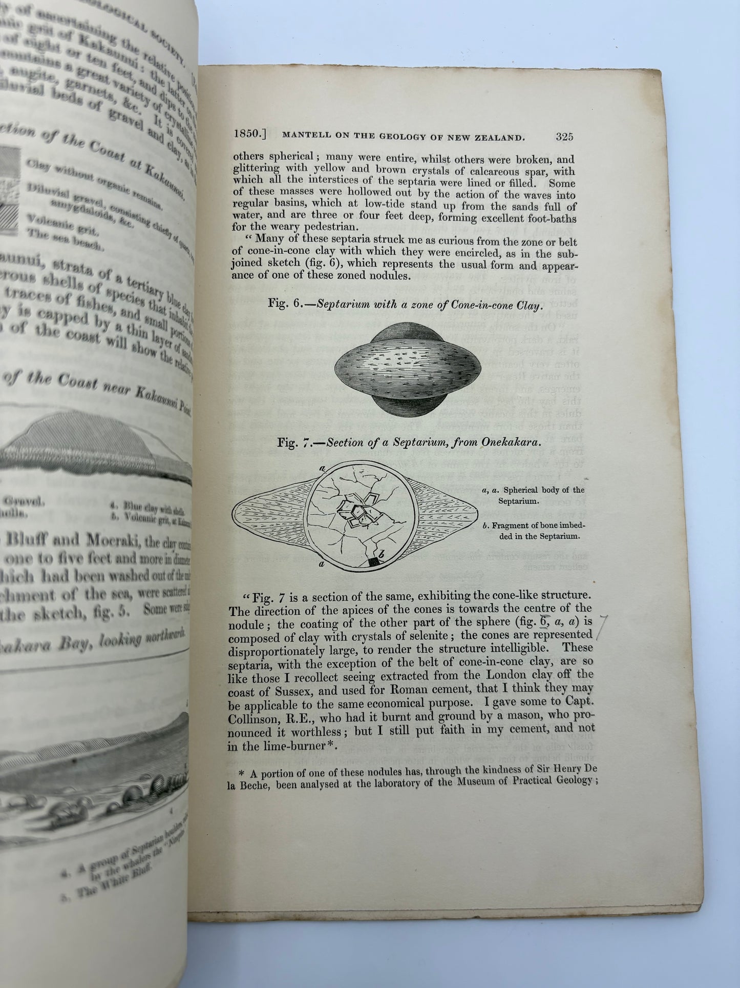One of the Eariest works on the Moa - Dedication copy by Gideon Mantell to John Tomes - "Notice of the remains of the Dinornis and other Birds" - 1850