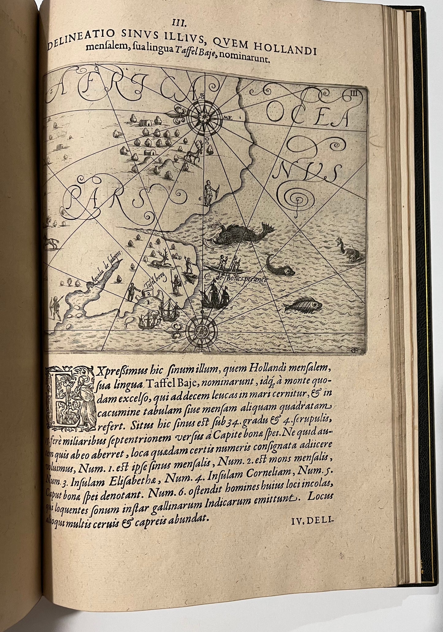 "Indiae Orientalis pars septima Icones, hoc est verae variorum populorum et regum, ceremoniarum item, superstitiosorum rituum et rerum aliarum"