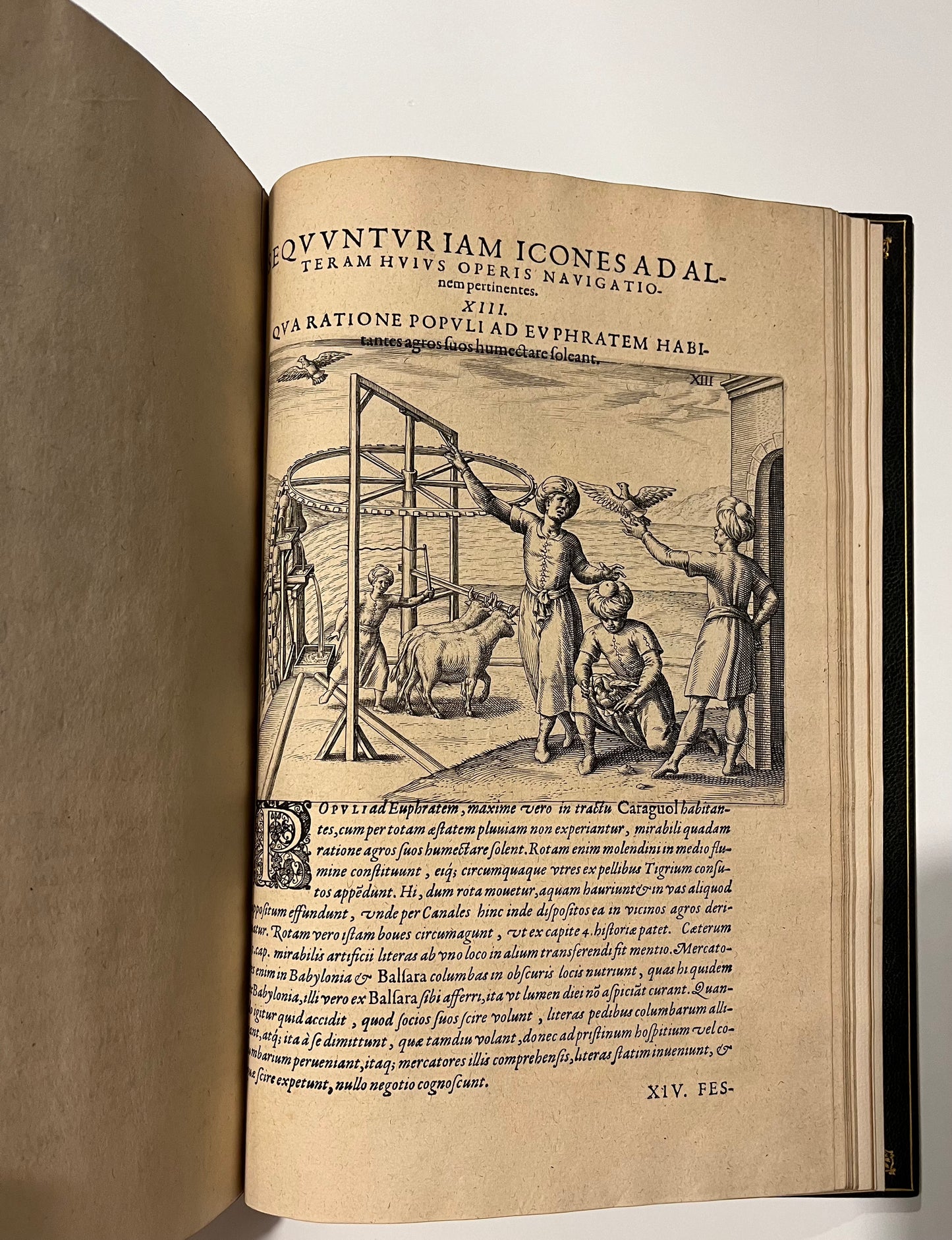 "Indiae Orientalis pars septima Icones, hoc est verae variorum populorum et regum, ceremoniarum item, superstitiosorum rituum et rerum aliarum"