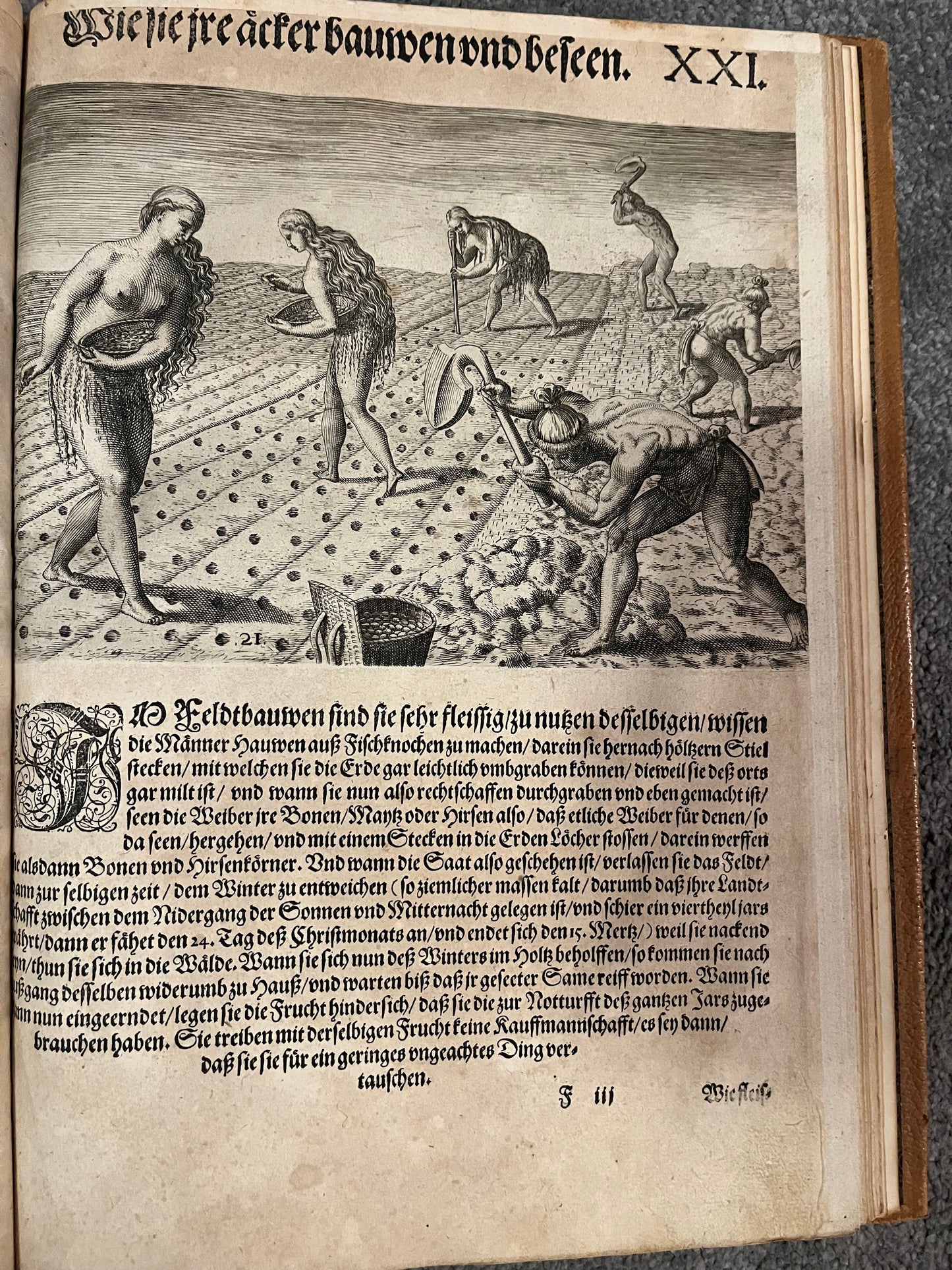 Part 2 of De Bry's Grands Voyages - Brevis Narratio - Jacques Le Moyne - De Bry Florida - Complete set of 42 plates and Title page - German 1st Edition - 1591