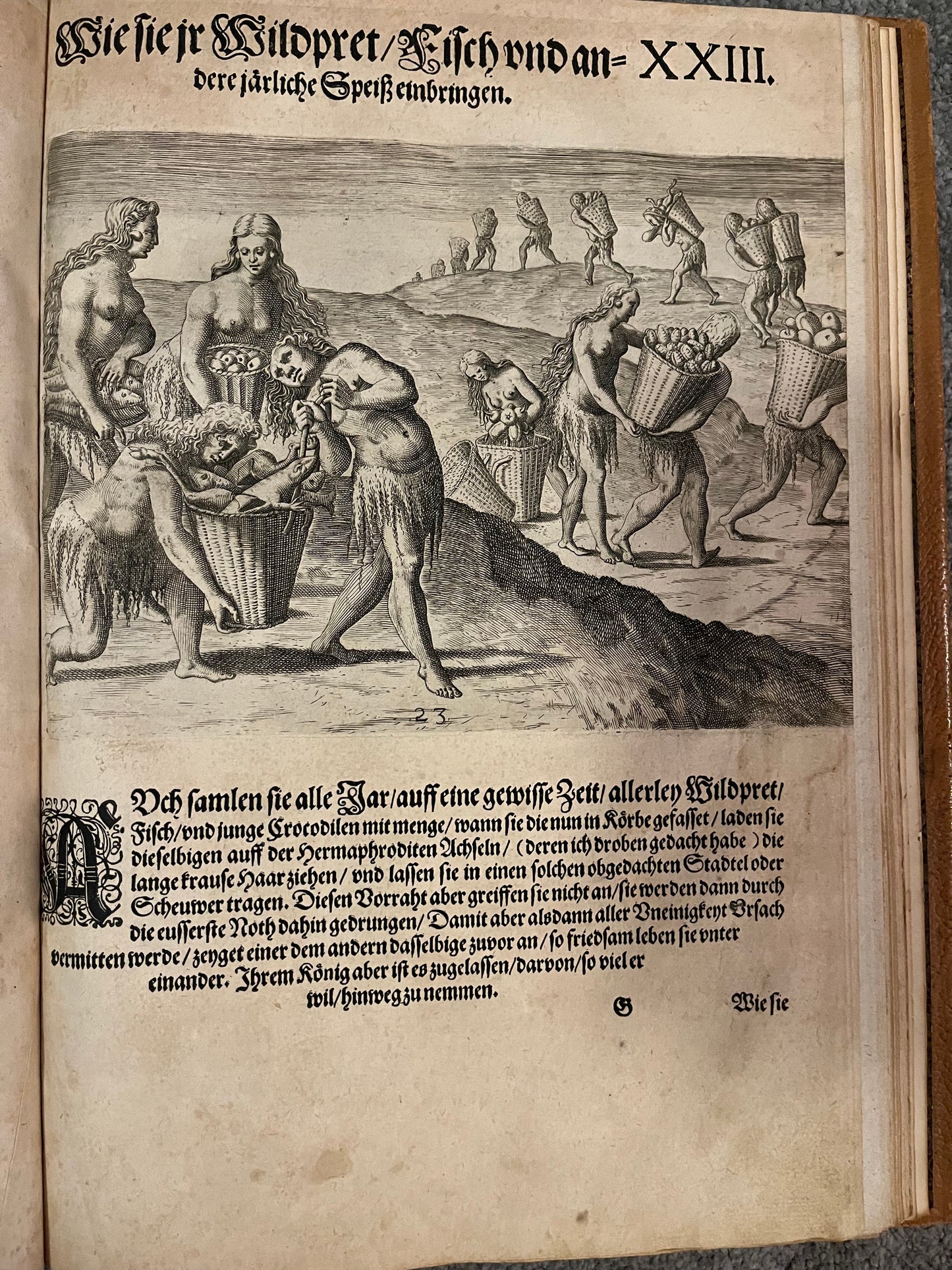 Part 2 of De Bry's Grands Voyages - Brevis Narratio - Jacques Le Moyne - De Bry Florida - Complete set of 42 plates and Title page - German 1st Edition - 1591