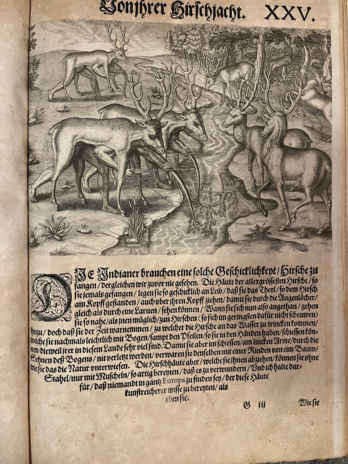Part 2 of De Bry's Grands Voyages - Brevis Narratio - Jacques Le Moyne - De Bry Florida - Complete set of 42 plates and Title page - German 1st Edition - 1591