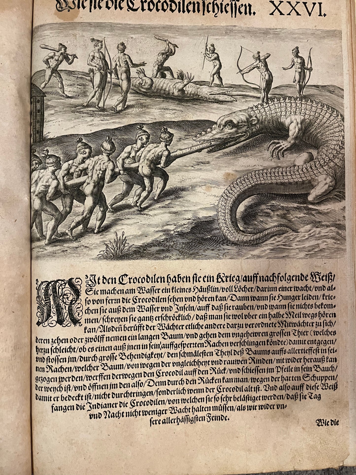 Part 2 of De Bry's Grands Voyages - Brevis Narratio - Jacques Le Moyne - De Bry Florida - Complete set of 42 plates and Title page - German 1st Edition - 1591