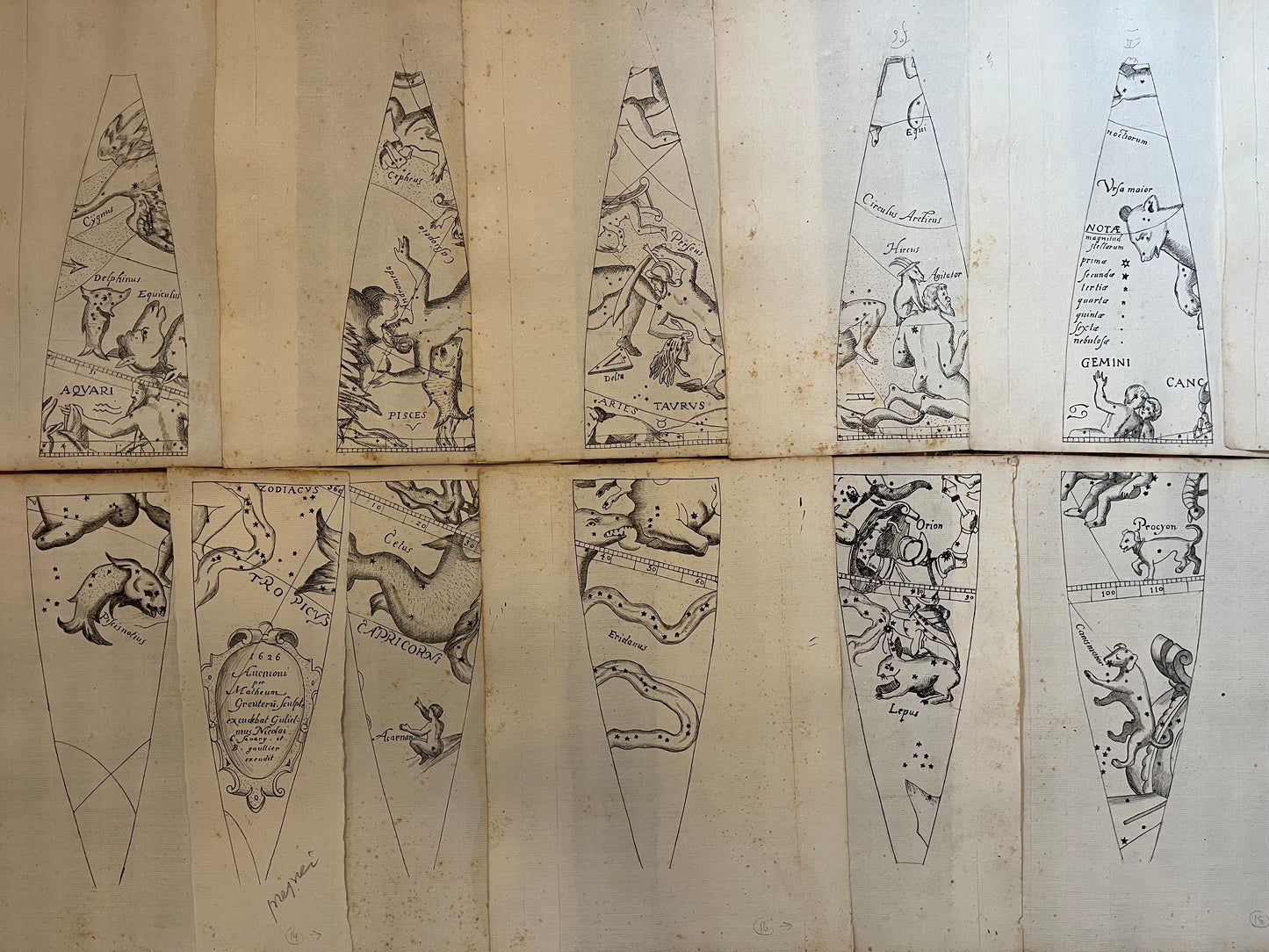 23 Manuscript Celestial Globe Gores - "1626 Auenioni per Matheum Greuteru. Sculpt. exeudebat Gulielmus Nicolai C. Sauary. et B. Gaullier exeudit" - Matthaeus Greuter