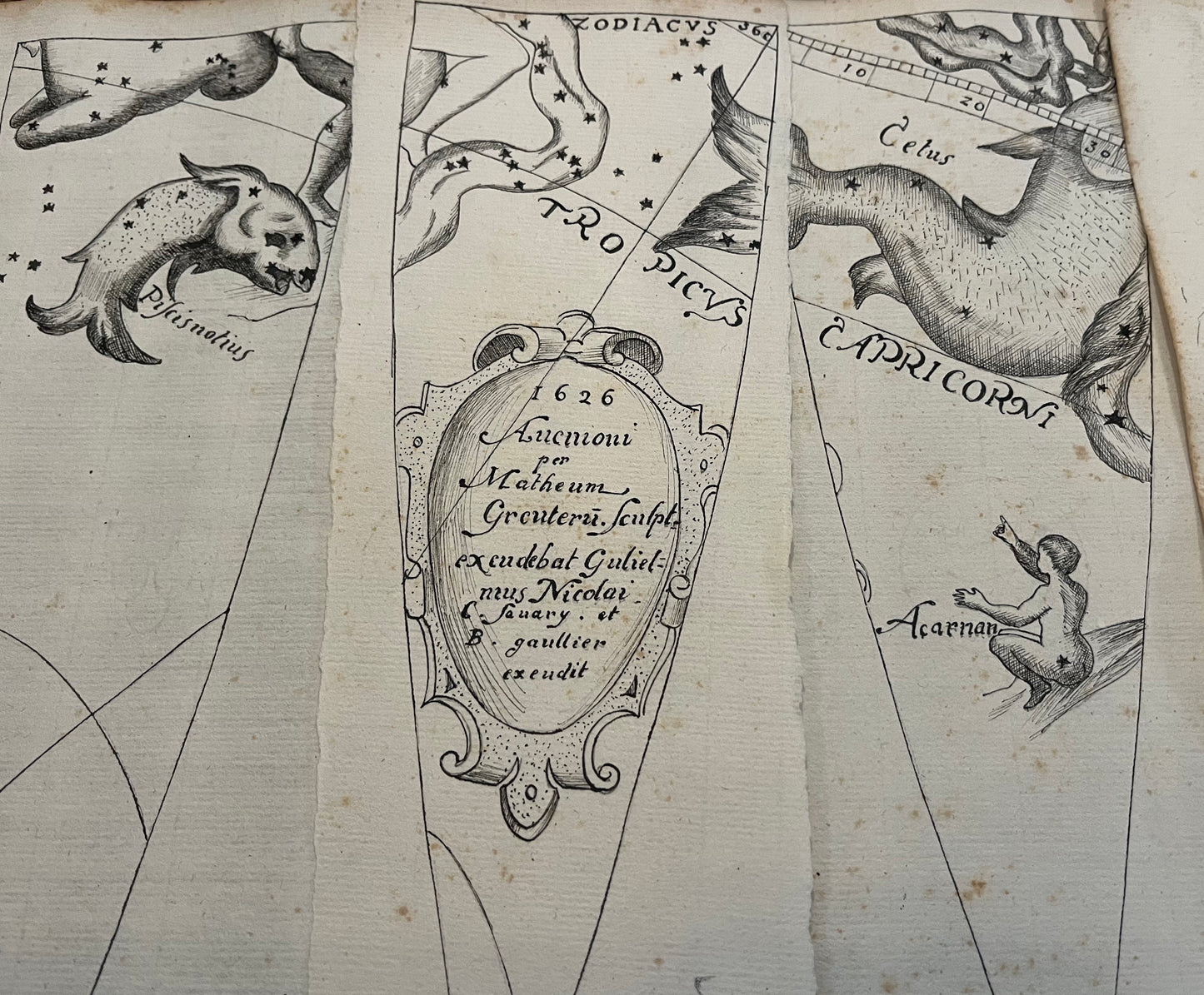 23 Manuscript Celestial Globe Gores - "1626 Auenioni per Matheum Greuteru. Sculpt. exeudebat Gulielmus Nicolai C. Sauary. et B. Gaullier exeudit" - Matthaeus Greuter