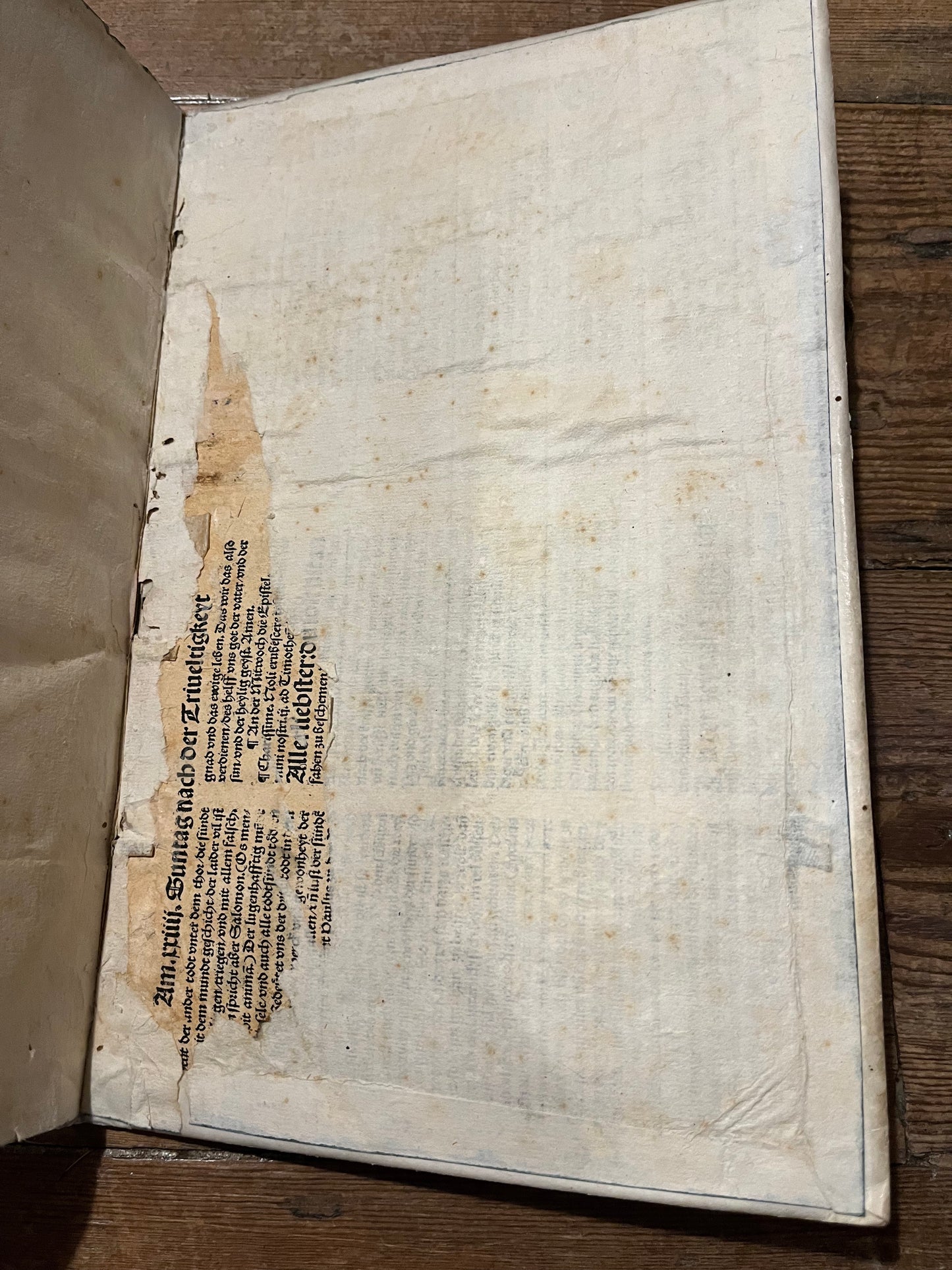 De Bry Petits Voyages part 8 - Achter Theil der Orientalischen Indien - Contemporary vellum binding with ties and handwritten title - Thailand