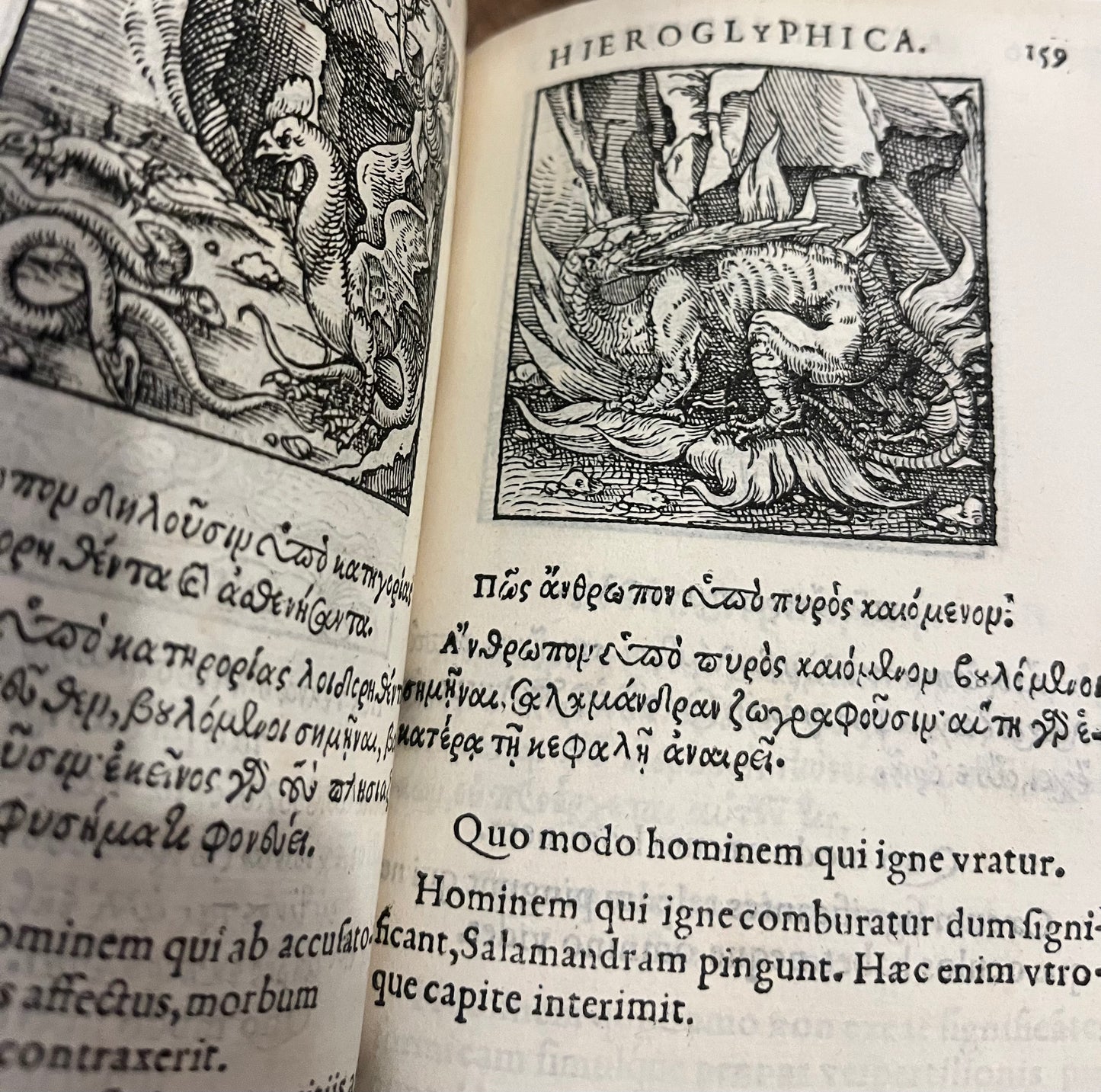 Earliest description of Hieroglyphics, Salamanders, Elephants etc - "Sacris Notis & sculpturis libri duo" - The Hieroglyphics of Horapollo - 1551