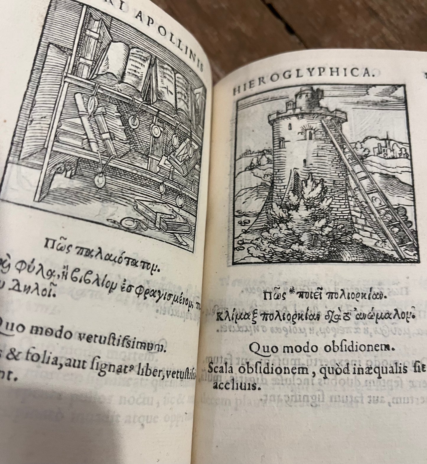 Earliest description of Hieroglyphics, Salamanders, Elephants etc - "Sacris Notis & sculpturis libri duo" - The Hieroglyphics of Horapollo - 1551