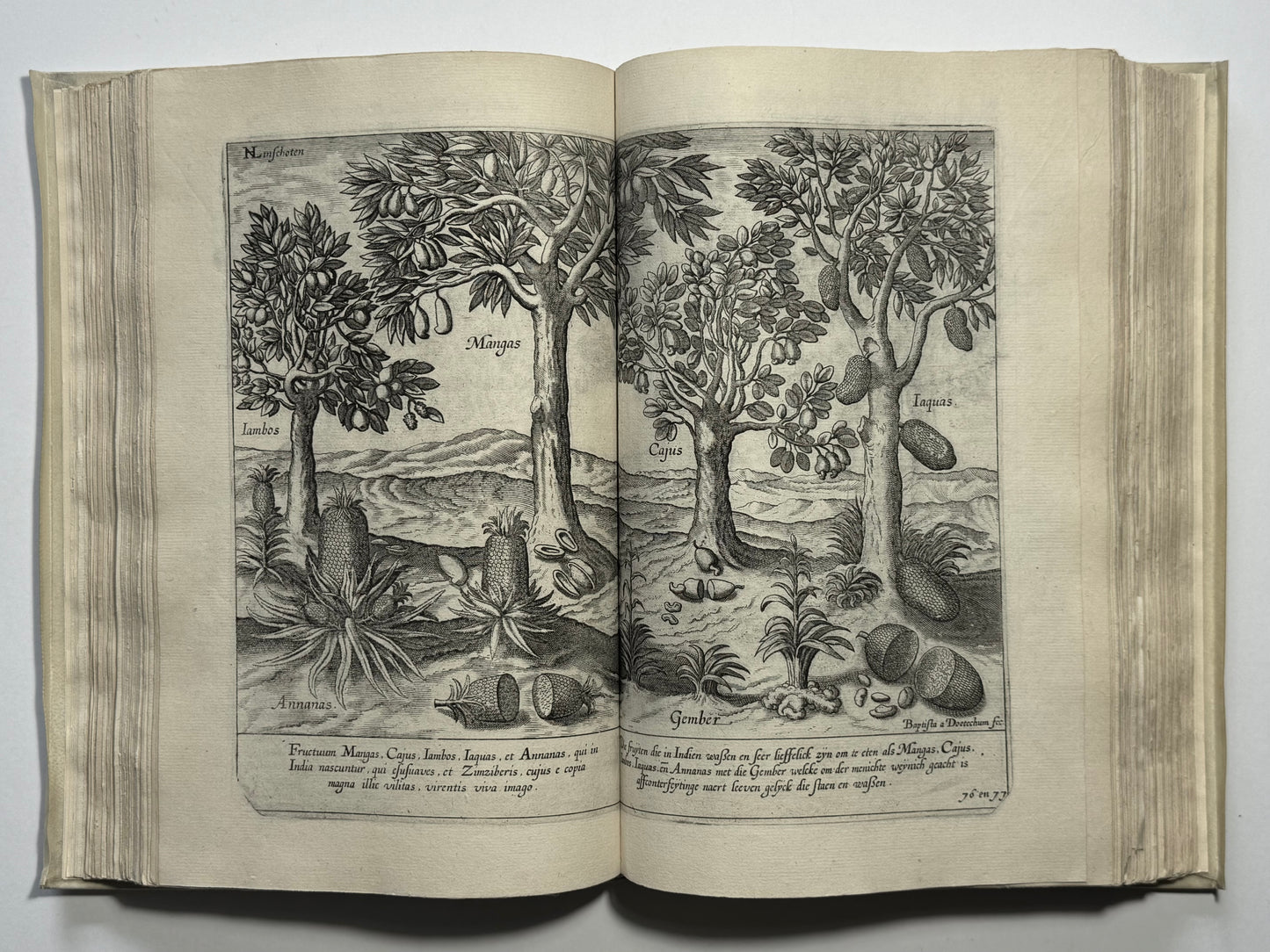 Linschoten’s Itinerario – The Book which Opened European Trade to the East - With important maps of the World, Asia and Japan”