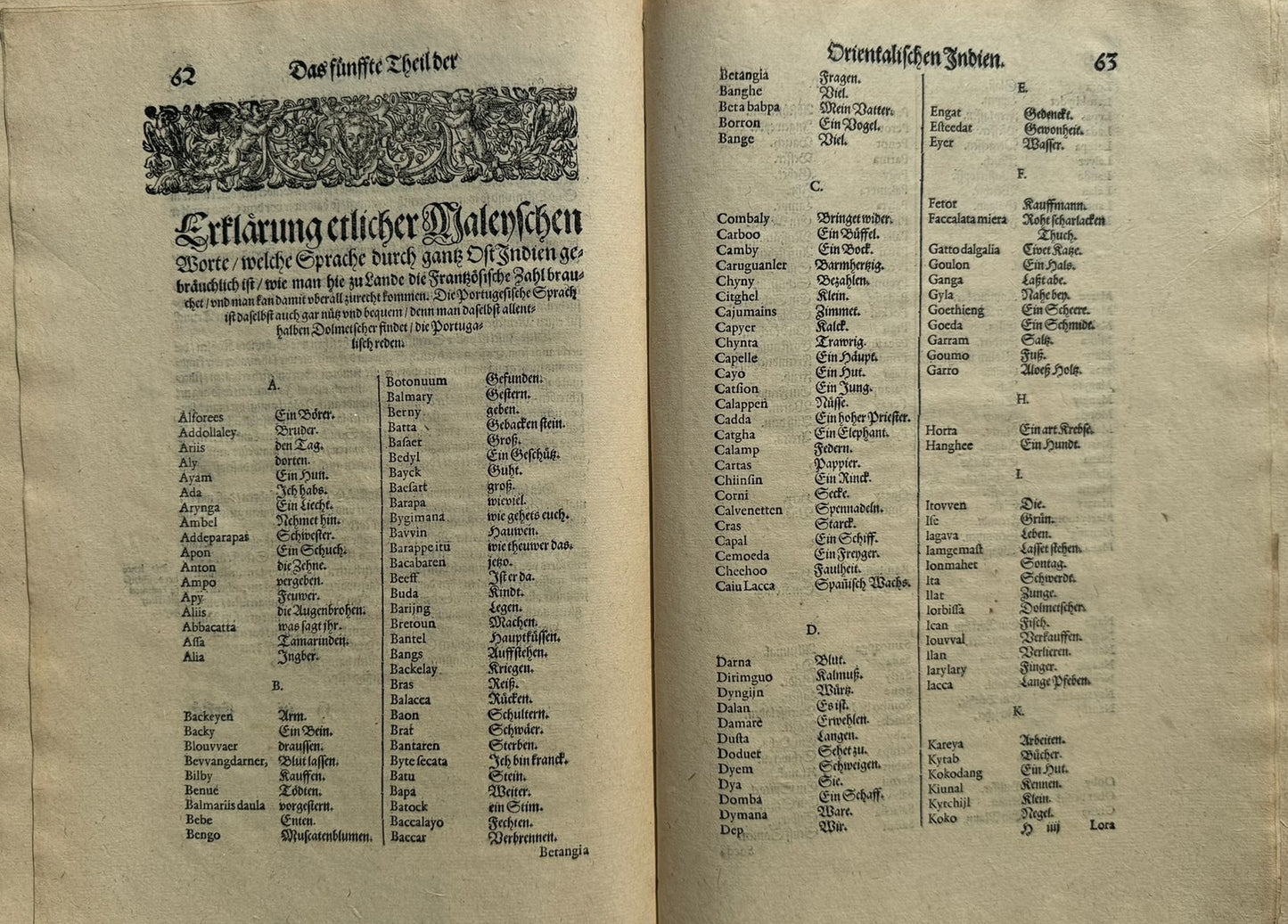 Funfter Theil der Orientalischen Indien - De Bry Part 5 Petits Voyages - 1600 - Dodo - Elephant - Mauritius - Malay Language - Voyage of Jacob van Neck and Wybrand van Warwijck
