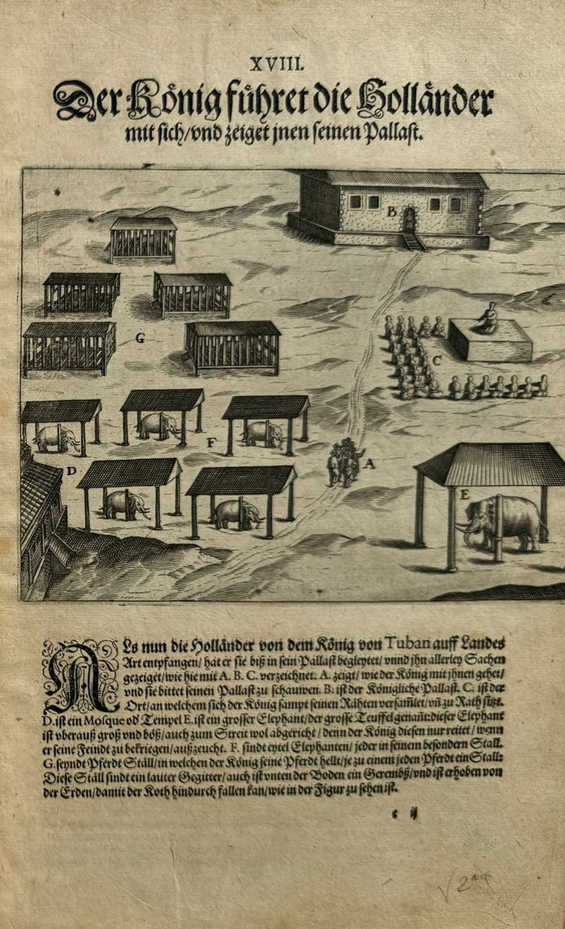 Funfter Theil der Orientalischen Indien - De Bry Part 5 Petits Voyages - 1600 - Dodo - Elephant - Mauritius - Malay Language - Voyage of Jacob van Neck and Wybrand van Warwijck