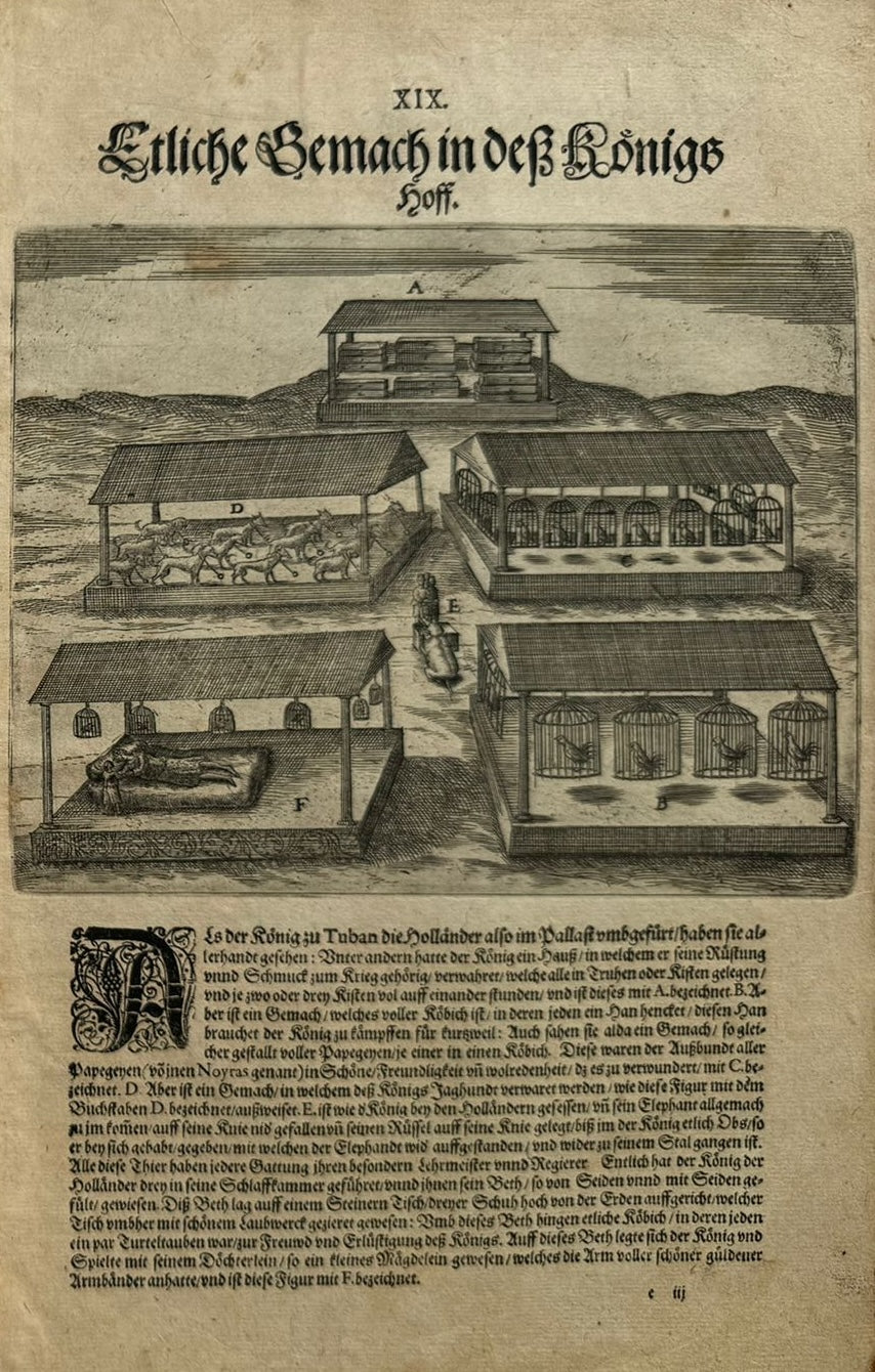 Funfter Theil der Orientalischen Indien - De Bry Part 5 Petits Voyages - 1600 - Dodo - Elephant - Mauritius - Malay Language - Voyage of Jacob van Neck and Wybrand van Warwijck