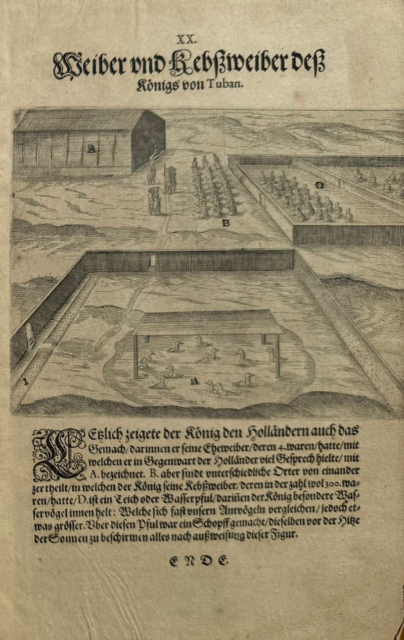Funfter Theil der Orientalischen Indien - De Bry Part 5 Petits Voyages - 1600 - Dodo - Elephant - Mauritius - Malay Language - Voyage of Jacob van Neck and Wybrand van Warwijck