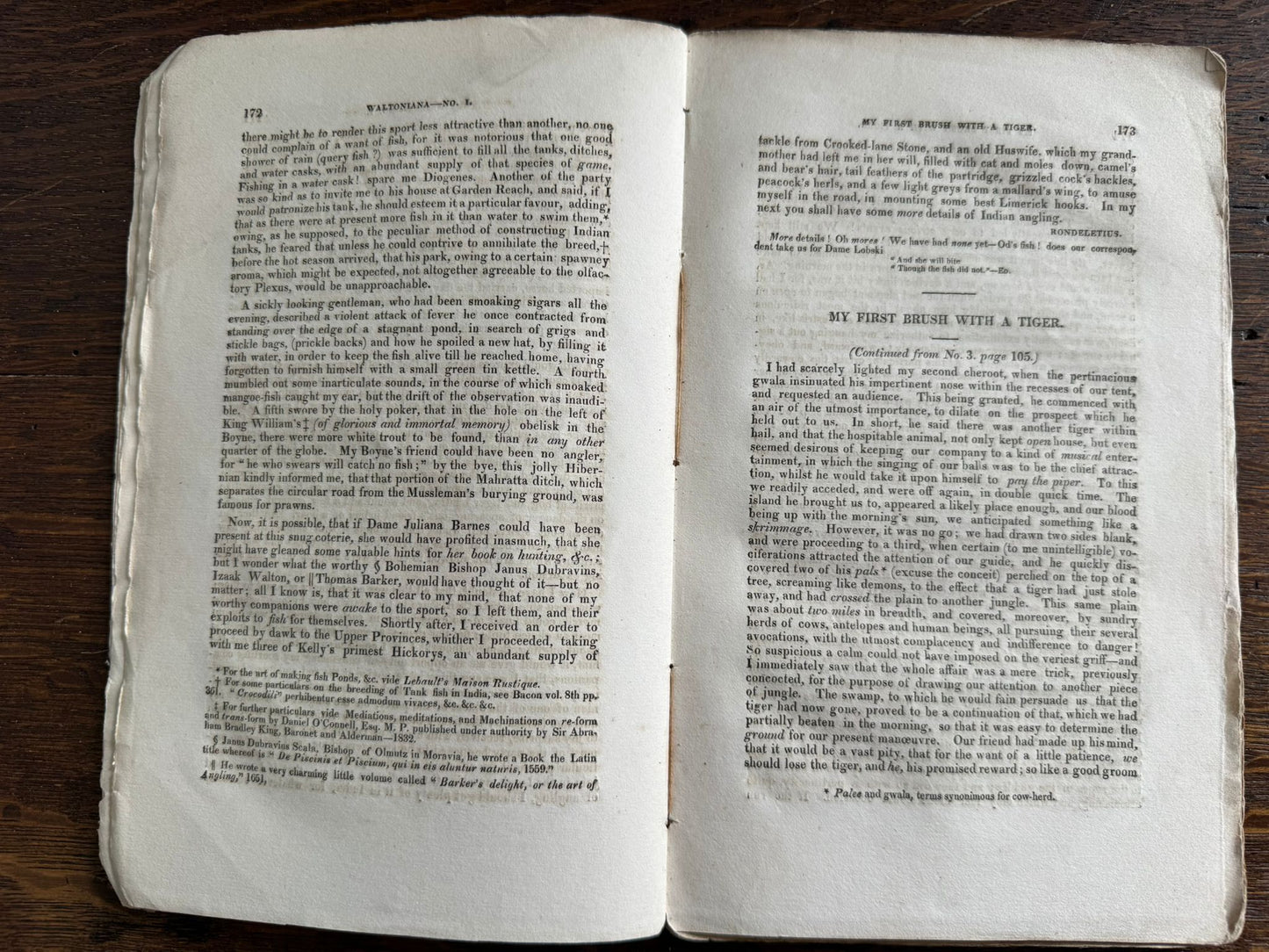 "My First Brush with a Tiger" - Early Indian printing - "The Bengal Monthly Sporting Magazine" - Calcutta 1833 - J.H.Stocqueler