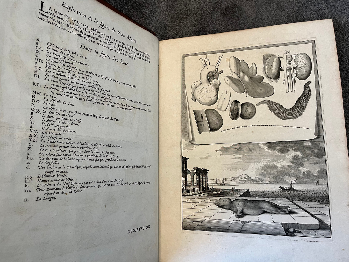 Suite des Memoires pour Servir a l’histoire Naturelle des Animaux” 1676 - Perrault