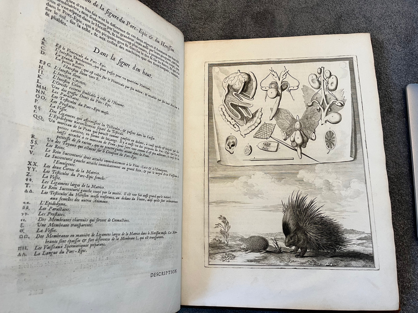 Suite des Memoires pour Servir a l’histoire Naturelle des Animaux” 1676 - Perrault