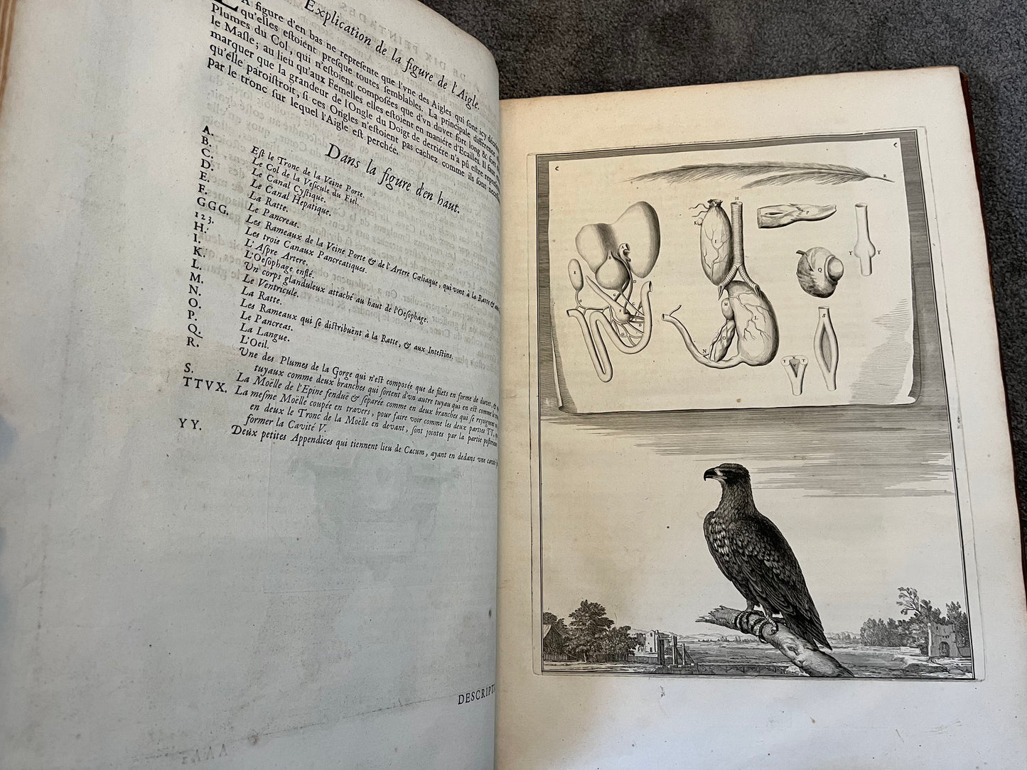 Suite des Memoires pour Servir a l’histoire Naturelle des Animaux” 1676 - Perrault