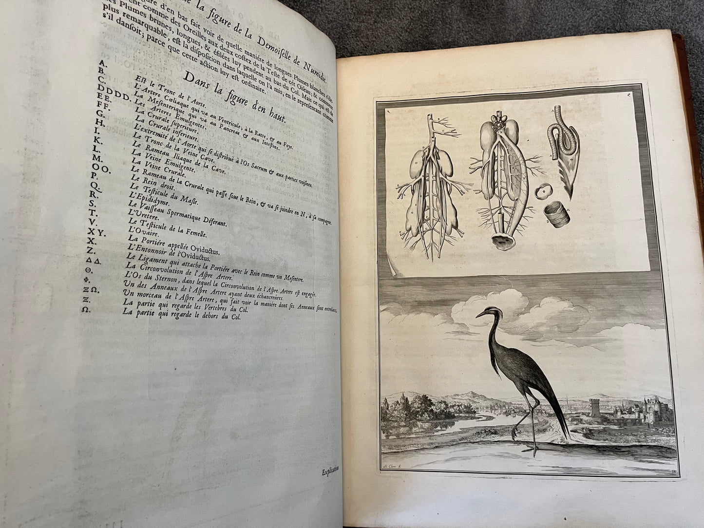 Suite des Memoires pour Servir a l’histoire Naturelle des Animaux” 1676 - Perrault