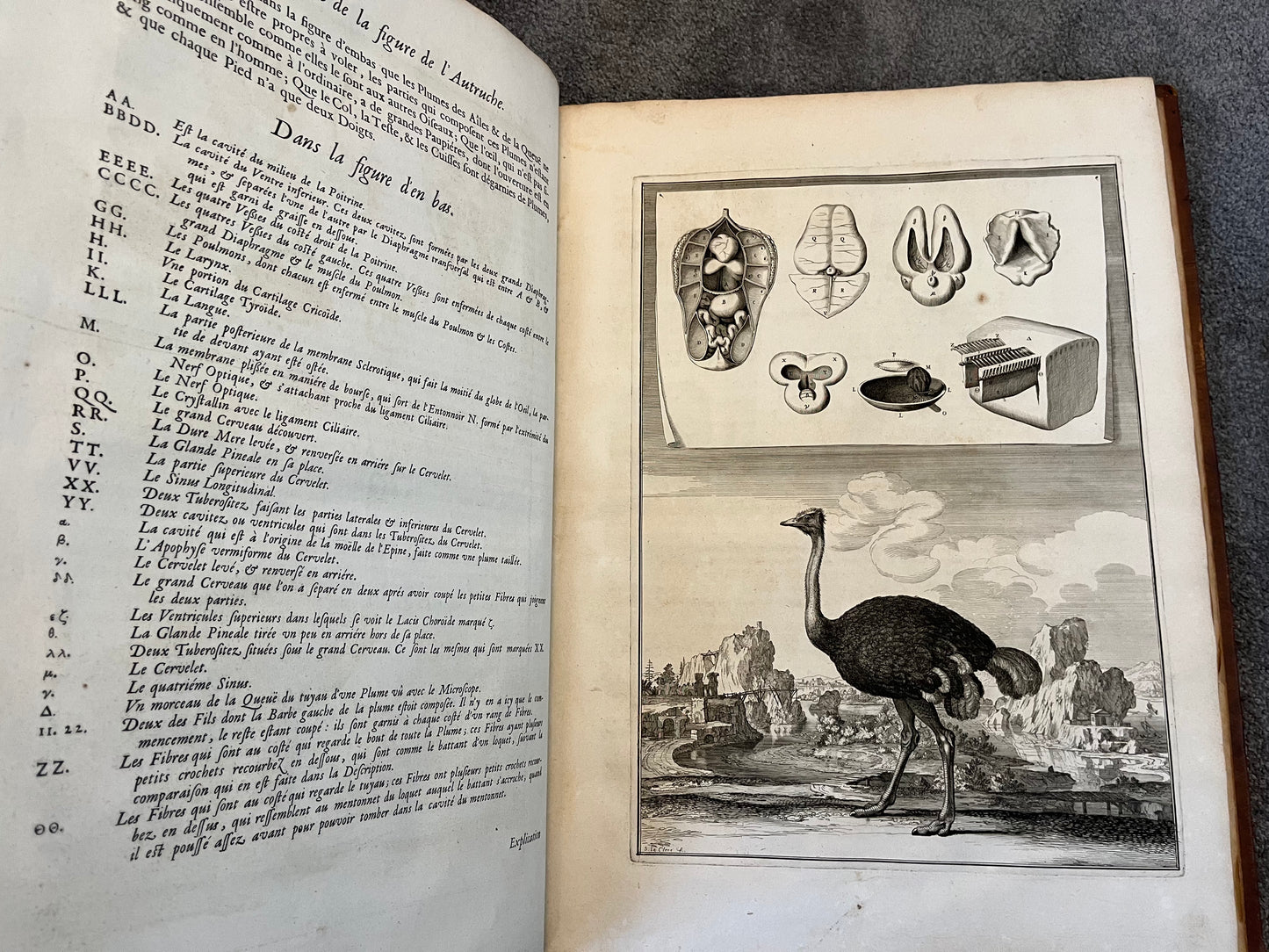 Suite des Memoires pour Servir a l’histoire Naturelle des Animaux” 1676 - Perrault