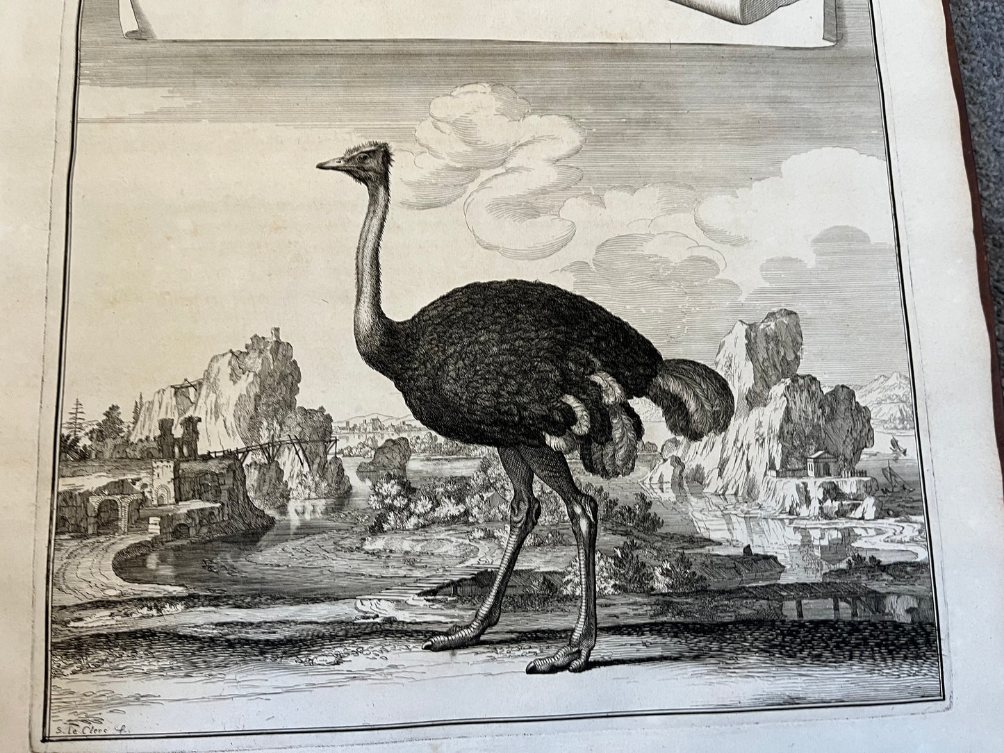 Suite des Memoires pour Servir a l’histoire Naturelle des Animaux” 1676 - Perrault