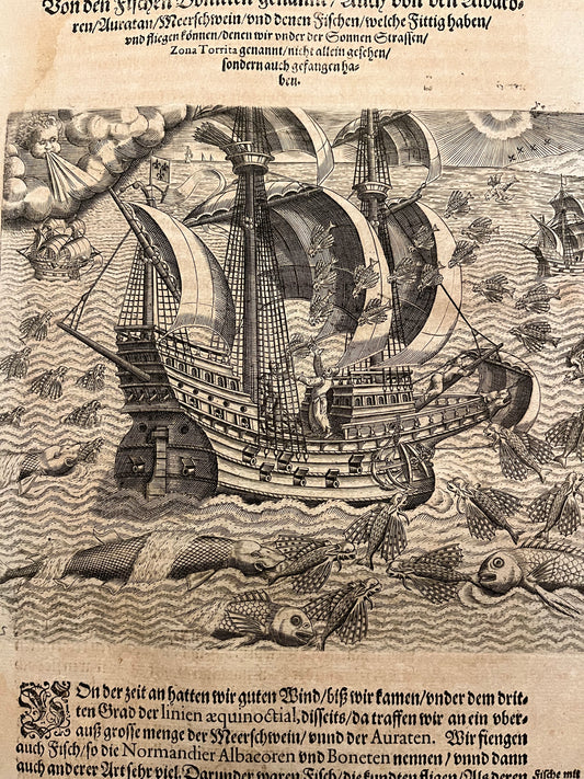 Flying Fish and Dolphins - De Bry - 1592