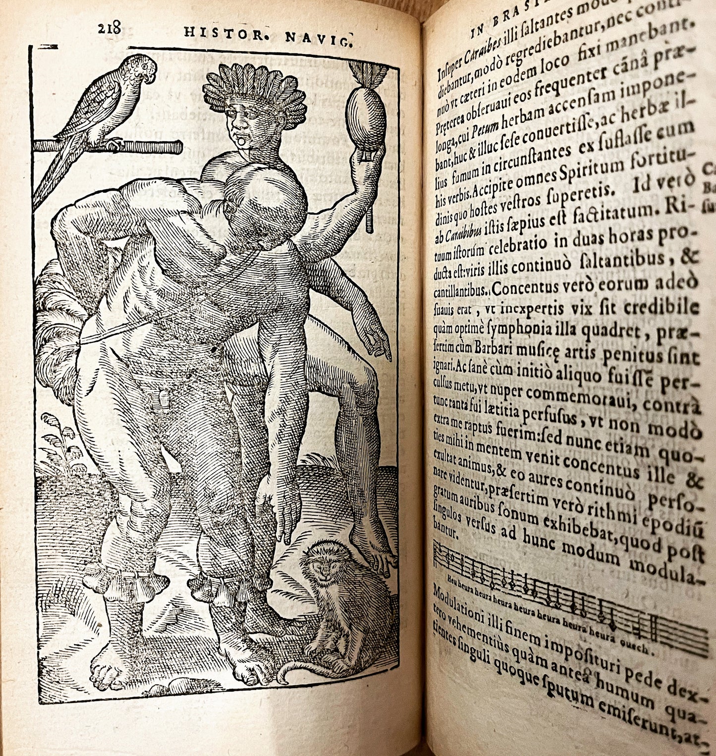 Historia navigationis in Brasiliam, quae et America Dicitur - Jean De Lery - 1586