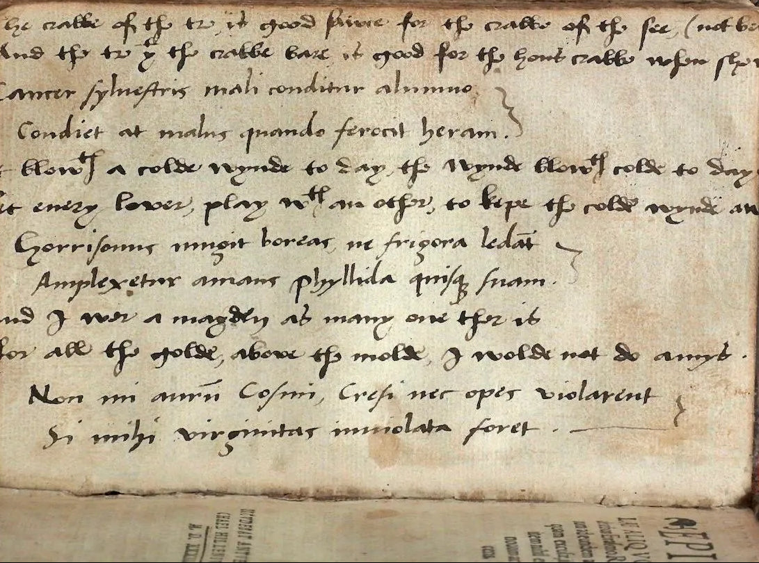 “And I was a Mayden” – 16th Century English verse on a sammelband of four humanist works by Erasmus and others – including “On the Preparation for Death” written for Anne Boleyn’s father Thomas Boleyn.