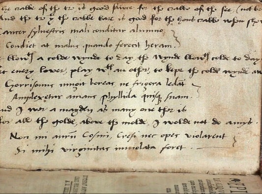 “And I was a Mayden” – 16th Century English verse on a sammelband of four humanist works by Erasmus and others – including “On the Preparation for Death” written for Anne Boleyn’s father Thomas Boleyn.