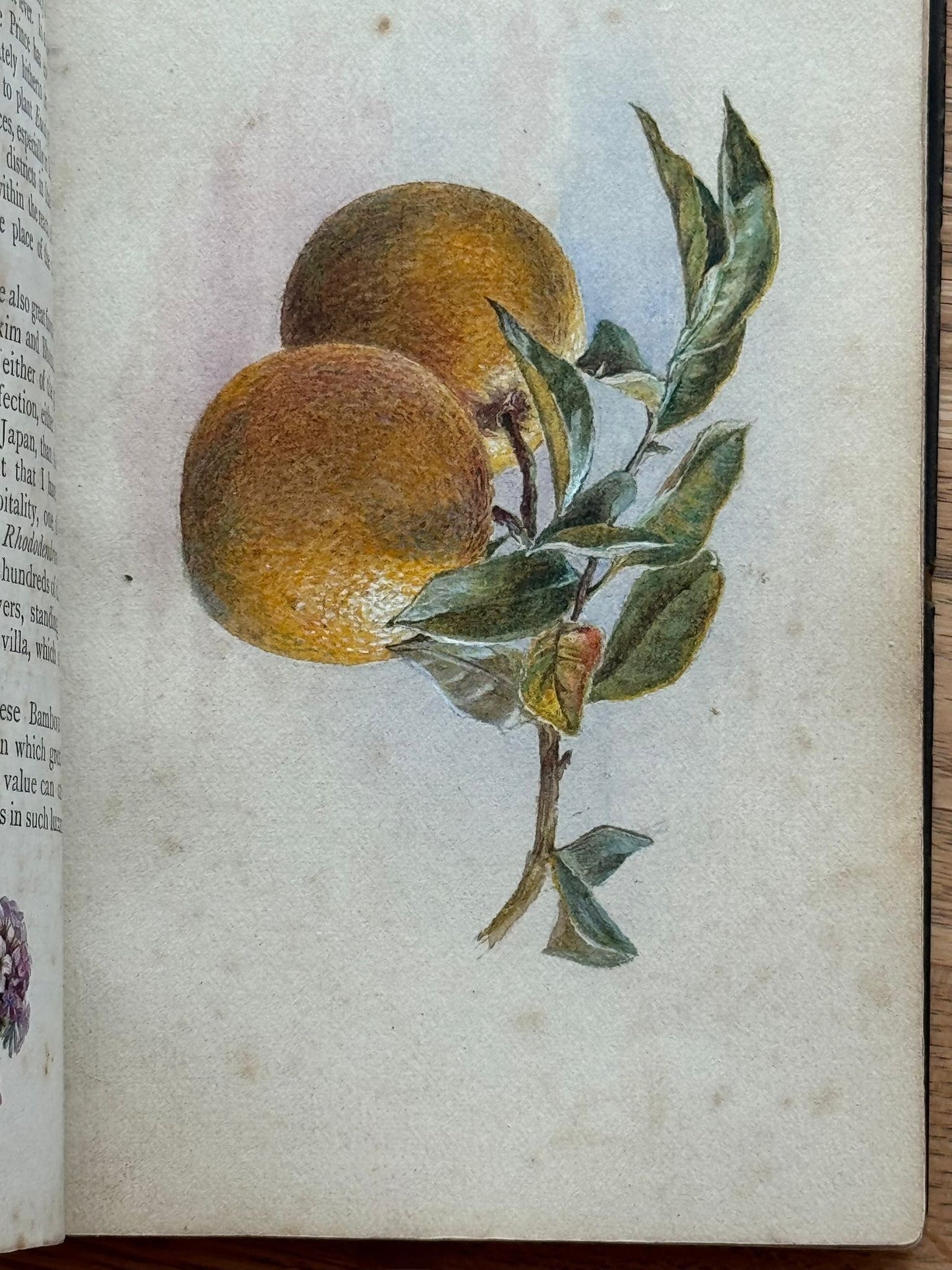 "Sketches of Lago Maggiore and Pallanza" - 1879 - Bound with 17 accomplished watercolours of the Italian lakes by a woman traveller and accompanied by a letter from Queen Victoria's Private secretary