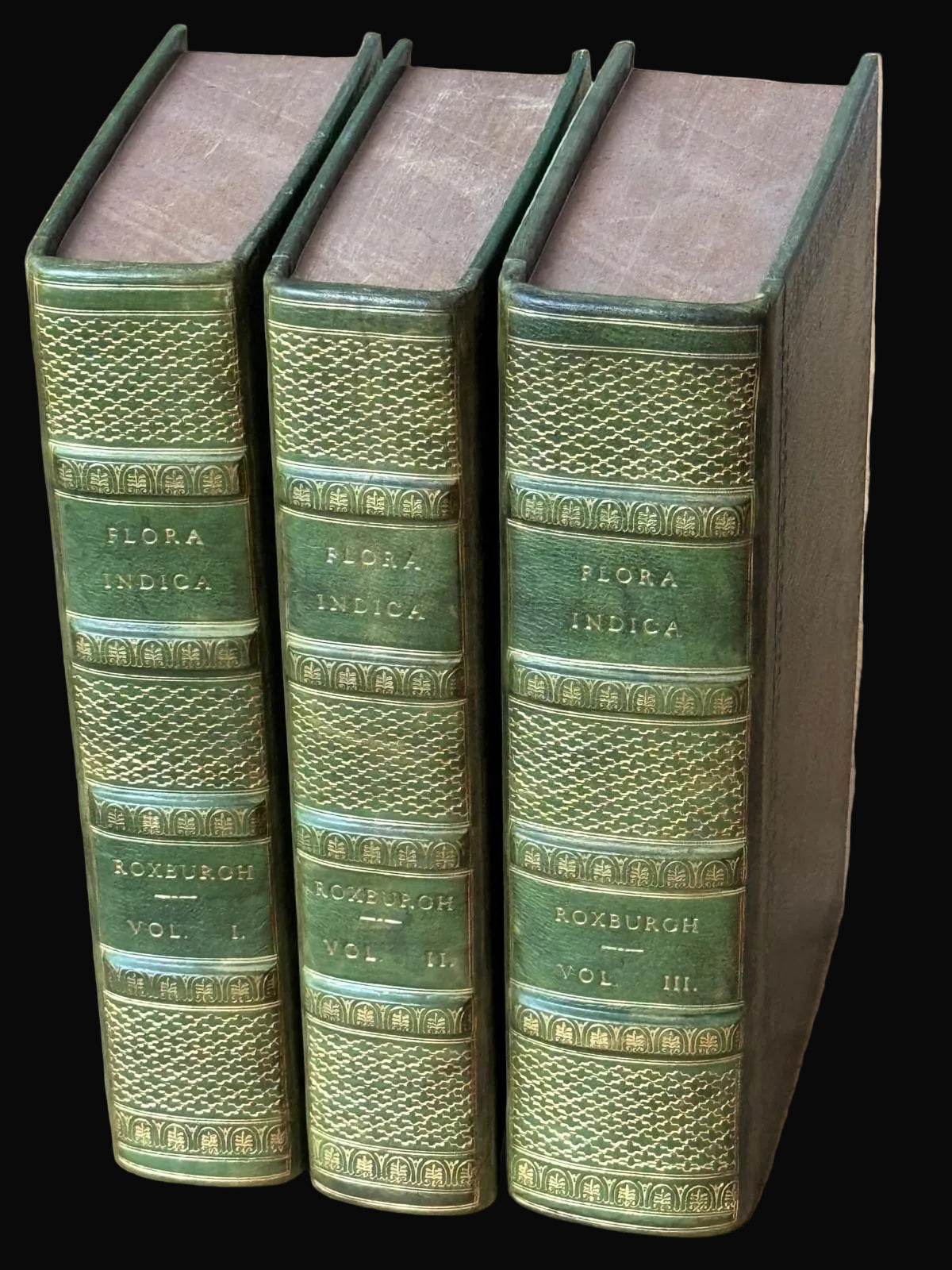Serampore printing - Foundational work on Indian Botany: Flora Indica by William Roxburgh and edited by William Carey, 1832