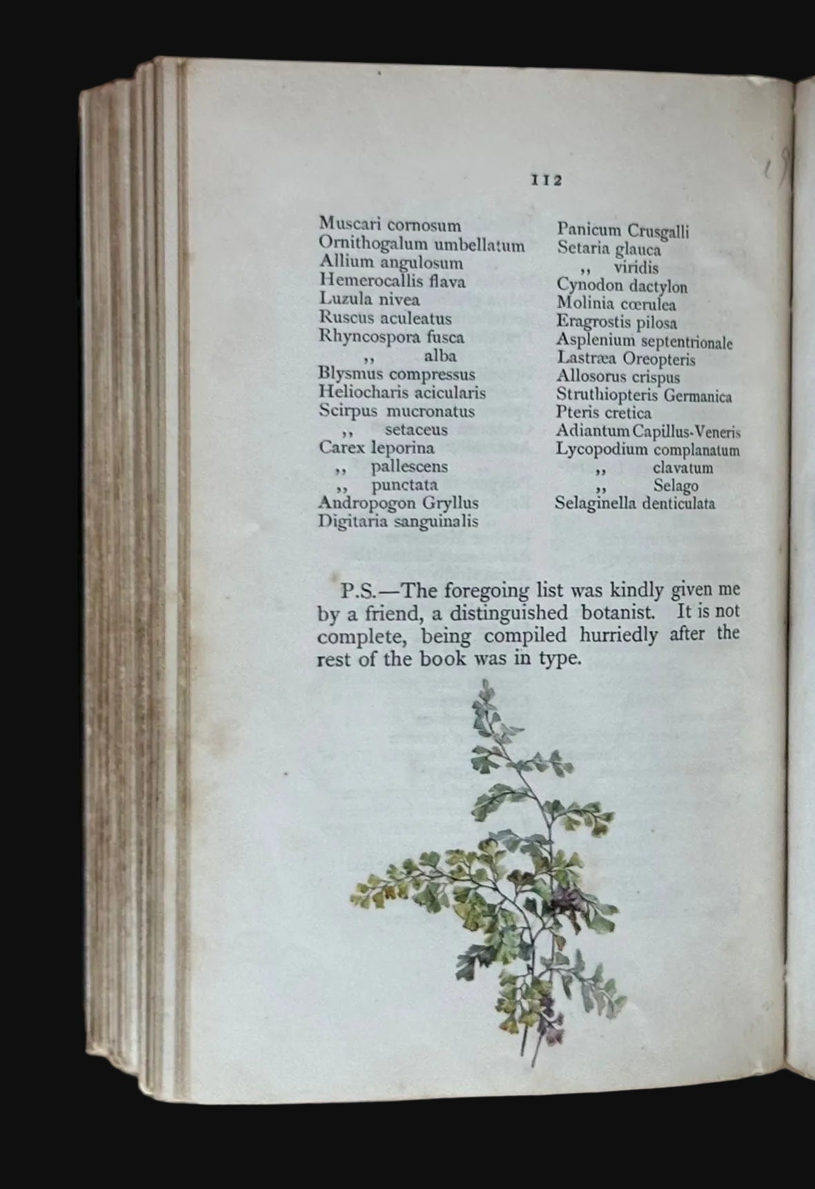 "Sketches of Lago Maggiore and Pallanza" - 1879 - Bound with 17 accomplished watercolours of the Italian lakes by a woman traveller and accompanied by a letter from Queen Victoria's Private secretary