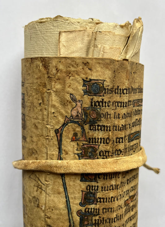 13th Century Psalter leaf with Rabbit - reused to hold nunnery records