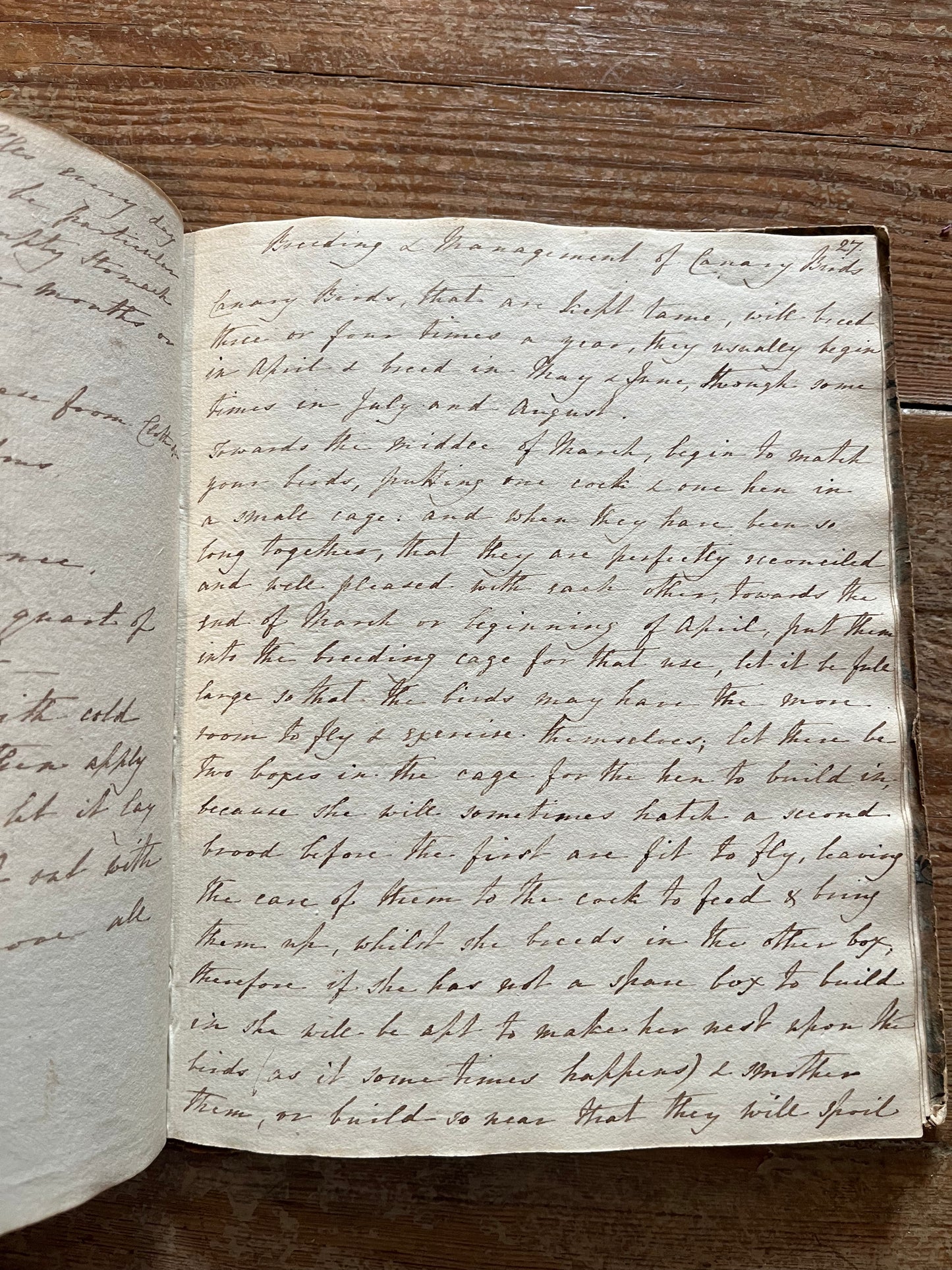 "Gout Cordial" and "Breeding Canaries" - a Lady's 1812 notebook on Household and Domestic Remedies