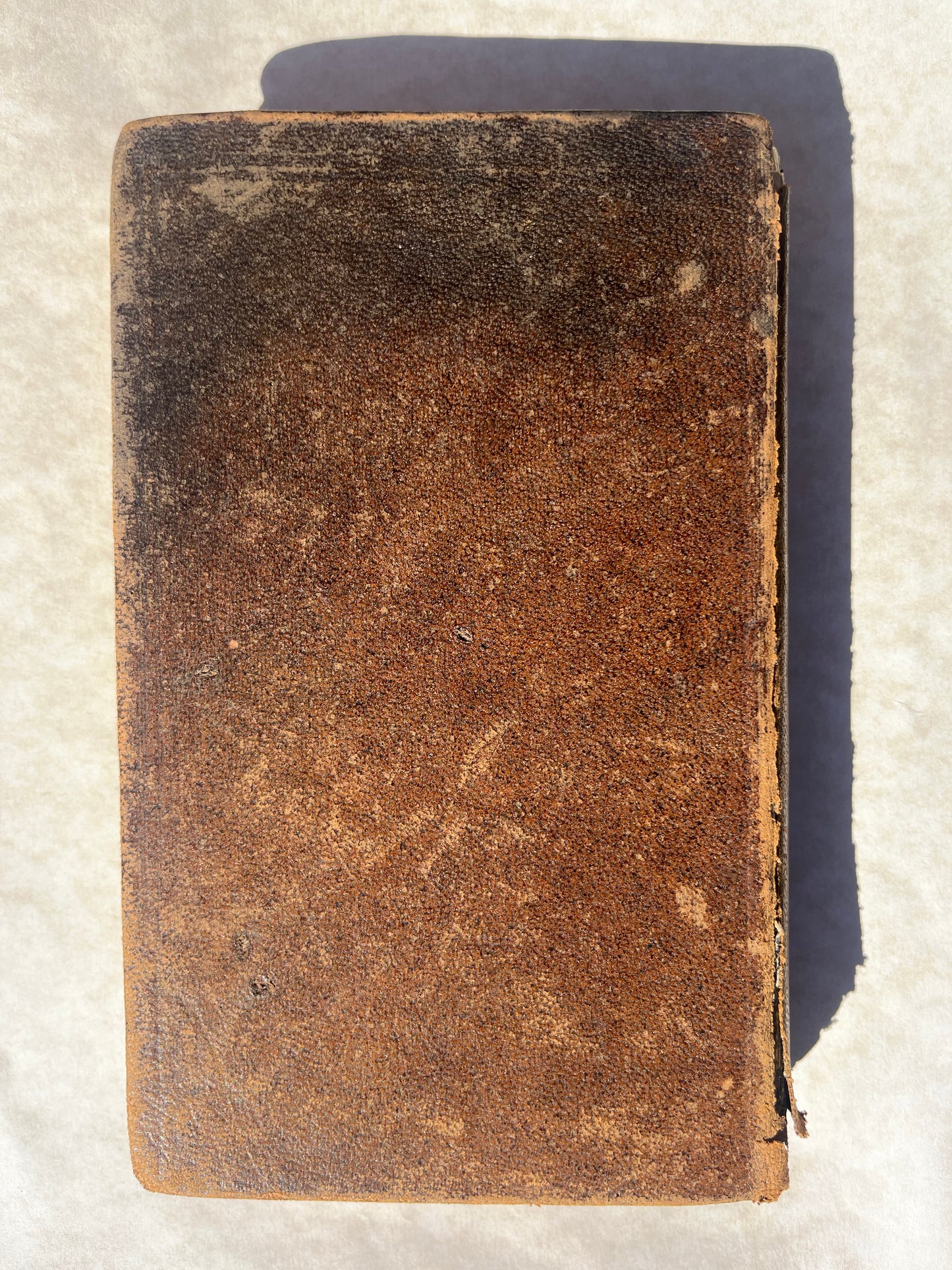 The First edition of the Book of Common Prayer in Te Reo Māori in an Original New Zealand Leather Binding