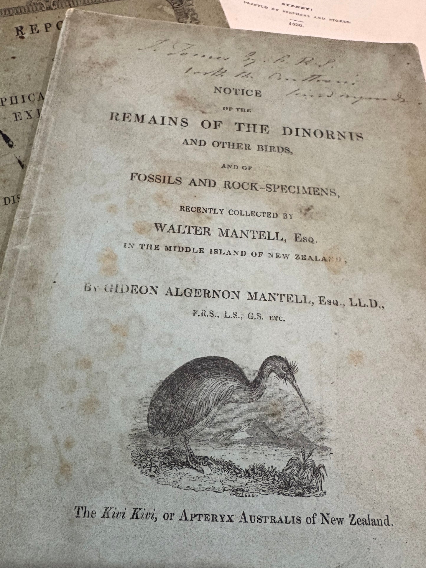 One of the Eariest works on the Moa - Dedication copy by Gideon Mantell to John Tomes - "Notice of the remains of the Dinornis and other Birds" - 1850