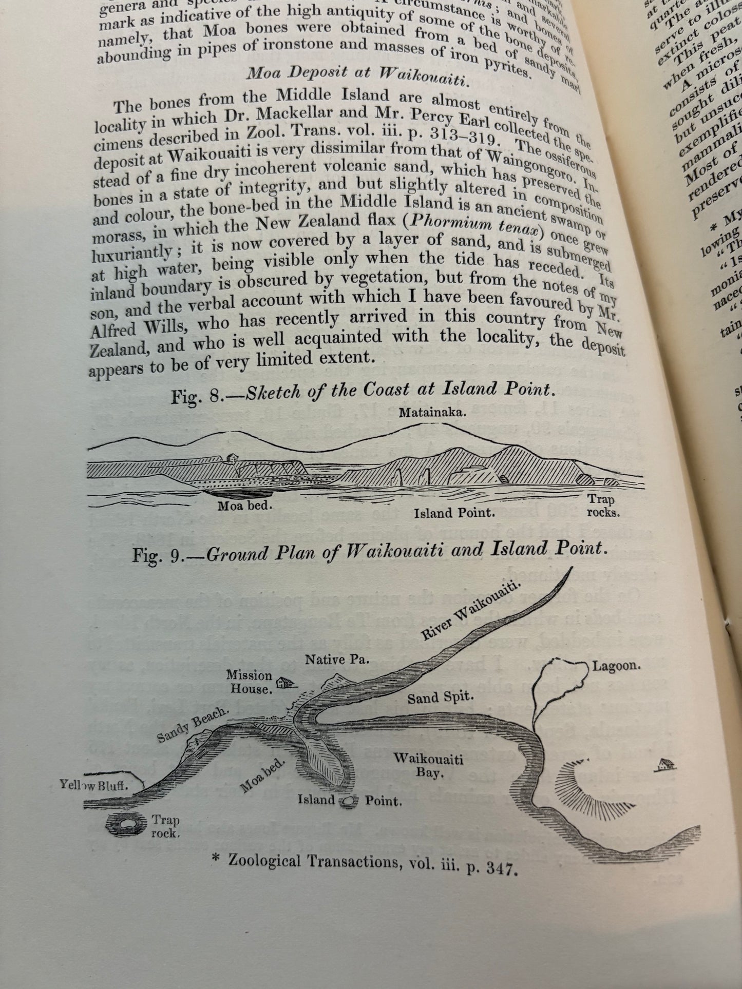 One of the Eariest works on the Moa - Dedication copy by Gideon Mantell to John Tomes - "Notice of the remains of the Dinornis and other Birds" - 1850