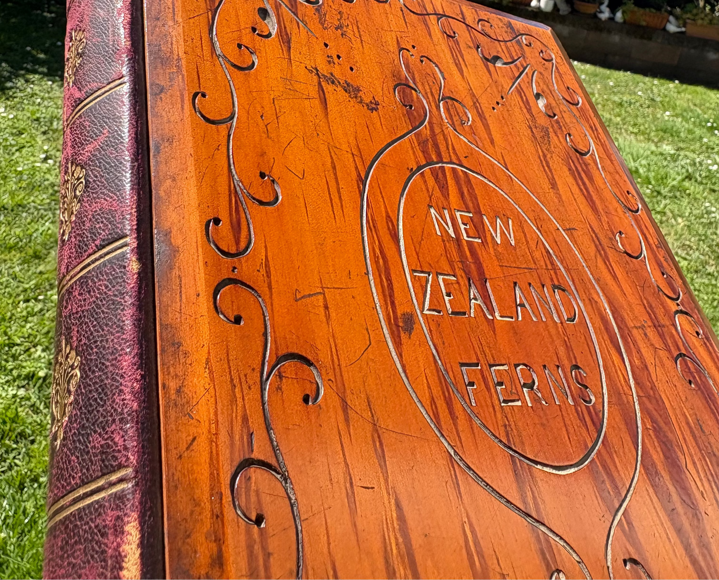 Eric Craig - "New Zealand Ferns" - Complete album of 31 ferns in contemporary Kauri boards  - 1886