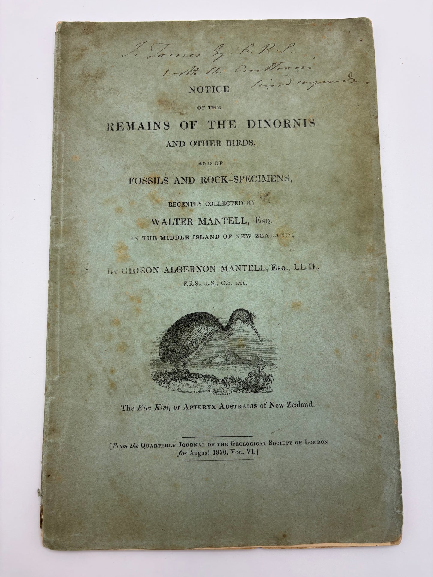 One of the Eariest works on the Moa - Dedication copy by Gideon Mantell to John Tomes - "Notice of the remains of the Dinornis and other Birds" - 1850