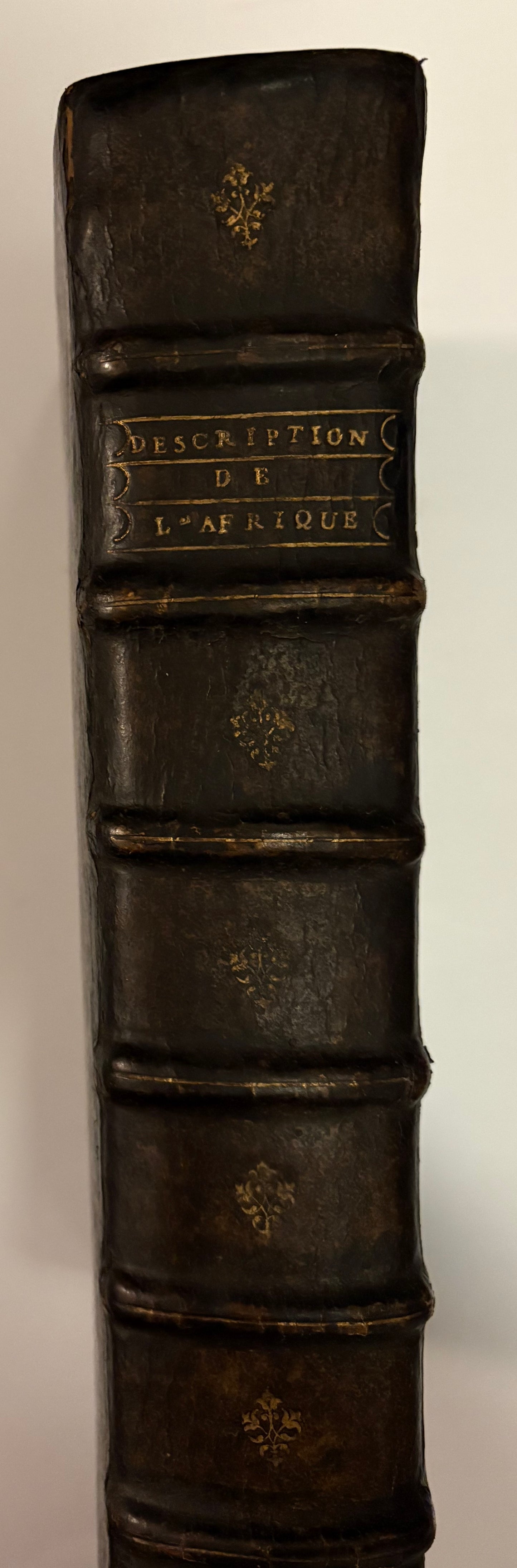 Leo Africanus (al-Hasan ibn Muhammad al-Wazzân)  - "Historiale description de l'Afrique, tierce partie du monde." - Jean Temporal - 1556