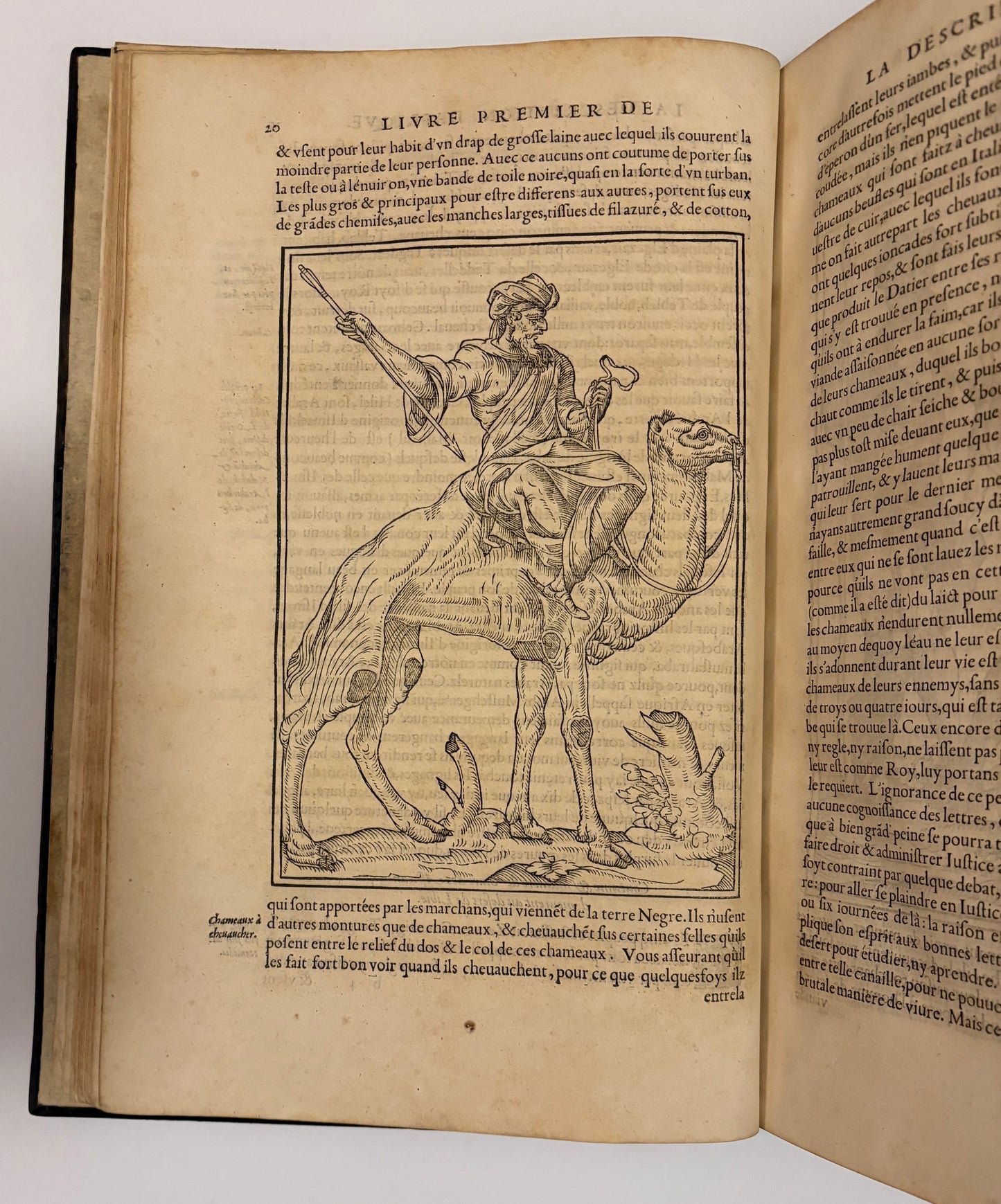 Leo Africanus (al-Hasan ibn Muhammad al-Wazzân)  - "Historiale description de l'Afrique, tierce partie du monde." - Jean Temporal - 1556