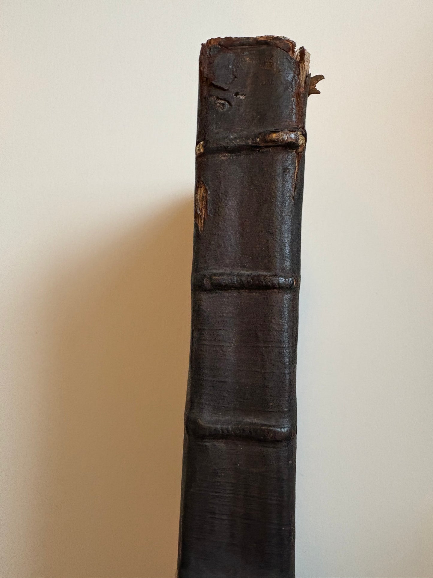 The first [-fifth] Booke of Architecture - Serlio / Robert Peake - London 1611