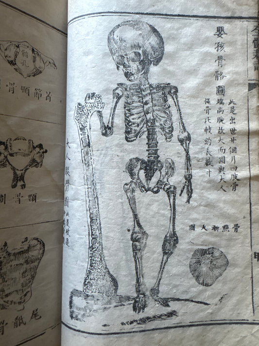 "Quan Ti Xin Lun" - A New treatise on Human Anatomy - 1853 issue - Canton (Guangzhou) - Benjamin Hobson and Chen Xiutang