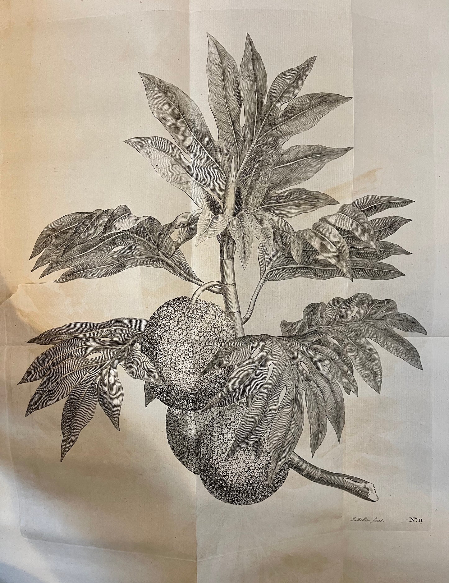 1st Edition of Cook's 1st Voyage - An account of the voyages undertaken by the order of his present Majesty for making discoveries in the Southern Hemisphere - Cook, Carteret, Byron, Wallis - Hawkesworth - 1773