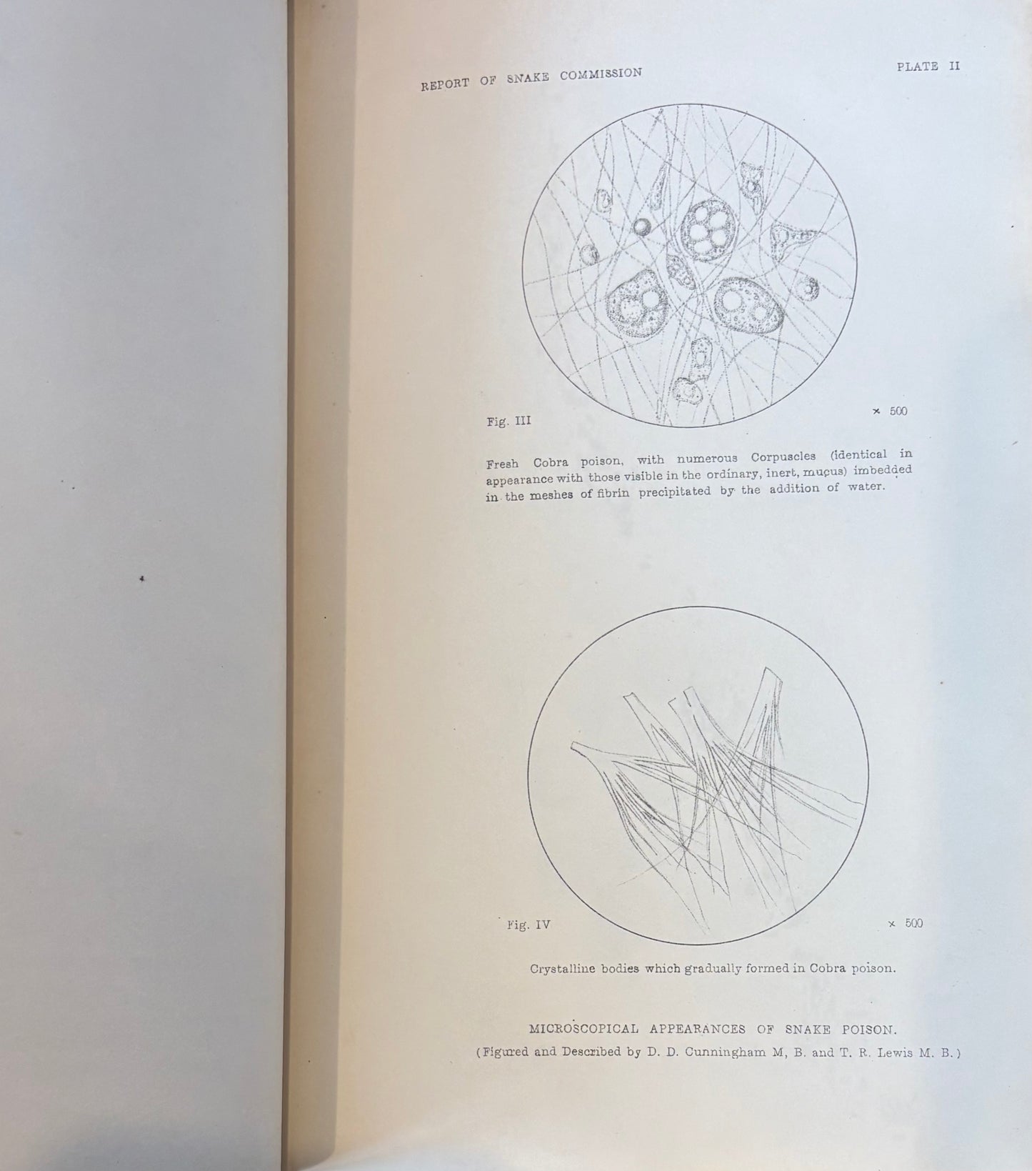 "Indian and Australian Snake-Poisoning" - Calcutta - Bengal Secretariat Press - 1874