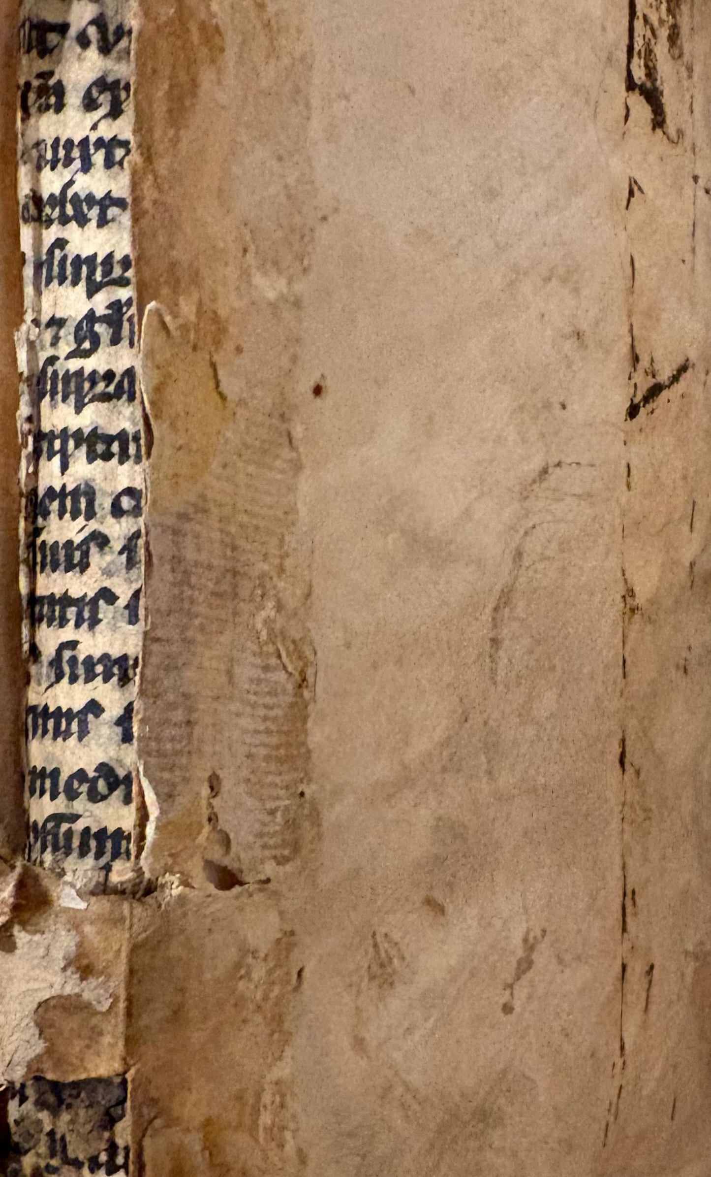 "Aurea ac pene divina" - Petrus aureolus - Venice 1507 - An unsophisticated copy of this Post-incunable religious commentary in original binding with woodcuts, printed manicules, and manuscript waste to spine.