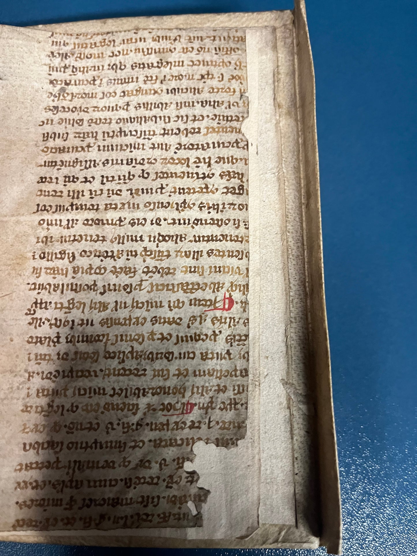 Pastoralis cure liber - 1516 - with 14th Century manuscript fly leaves