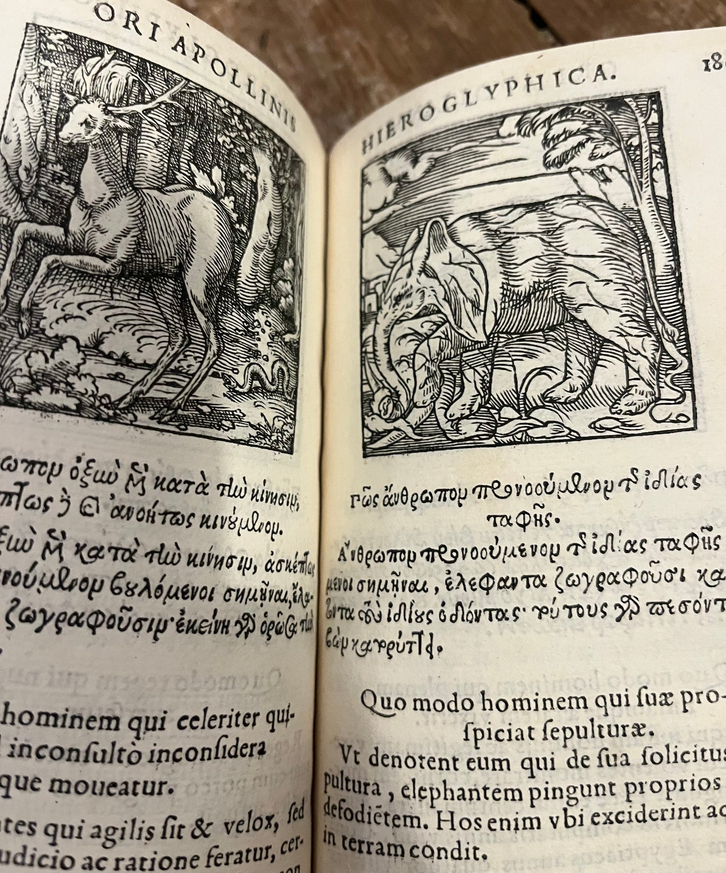 Earliest description of Hieroglyphics, Salamanders, Elephants etc - "Sacris Notis & sculpturis libri duo" - The Hieroglyphics of Horapollo - 1551