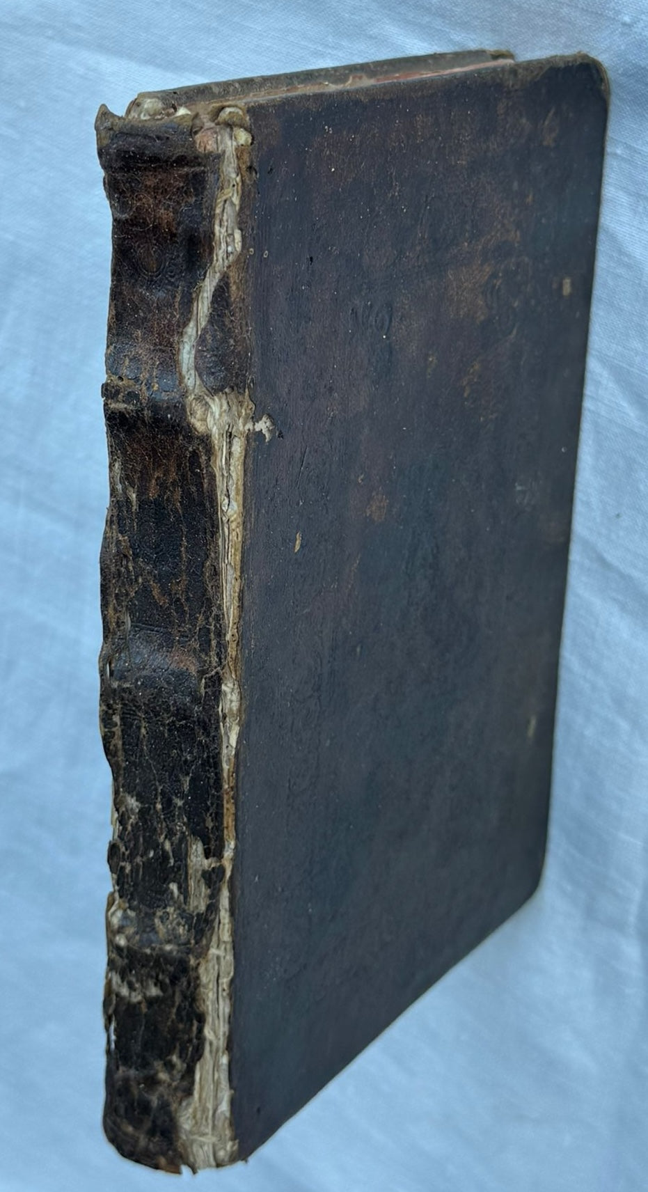 Complete 16th Century Manuscript Antiphonary for the Carthusian monastery of Maggiano, near Siena