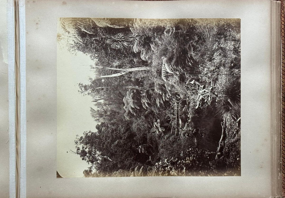 Complete 1870s Album of New Zealand Photographs by Robert Bartlett - Auckland panorama, Pink and White terraces, Māori King Tāwhiao