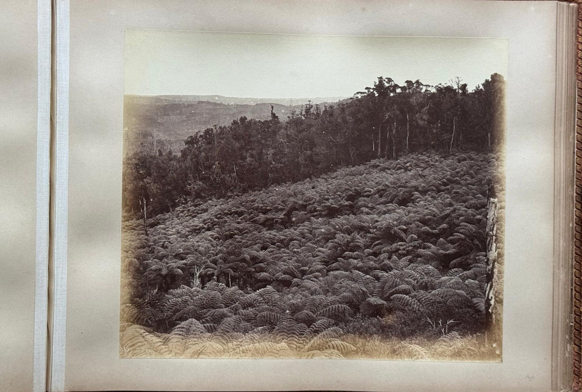 Complete 1870s Album of New Zealand Photographs by Robert Bartlett - Auckland panorama, Pink and White terraces, Māori King Tāwhiao